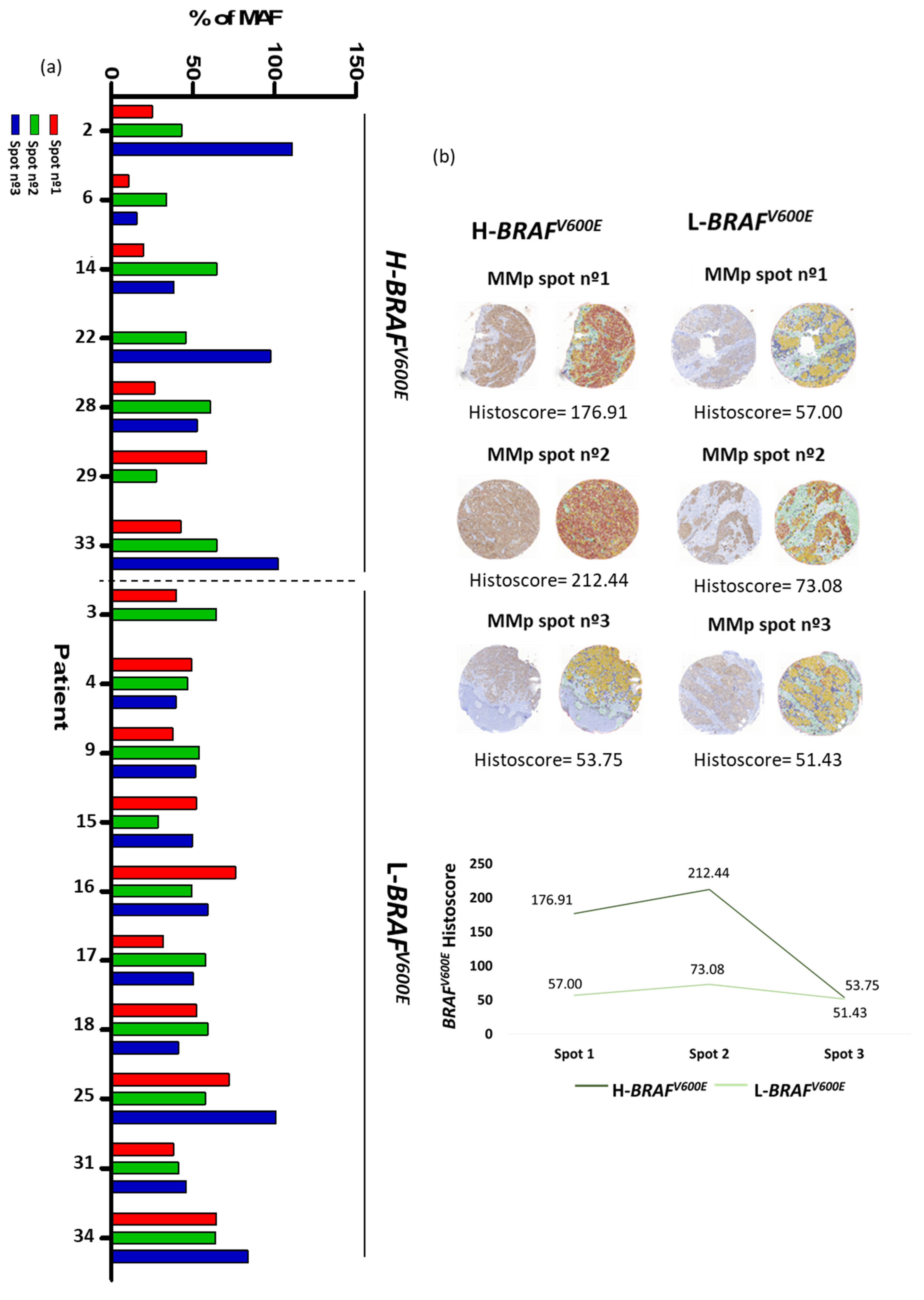Cancers 13 05073 g002 550