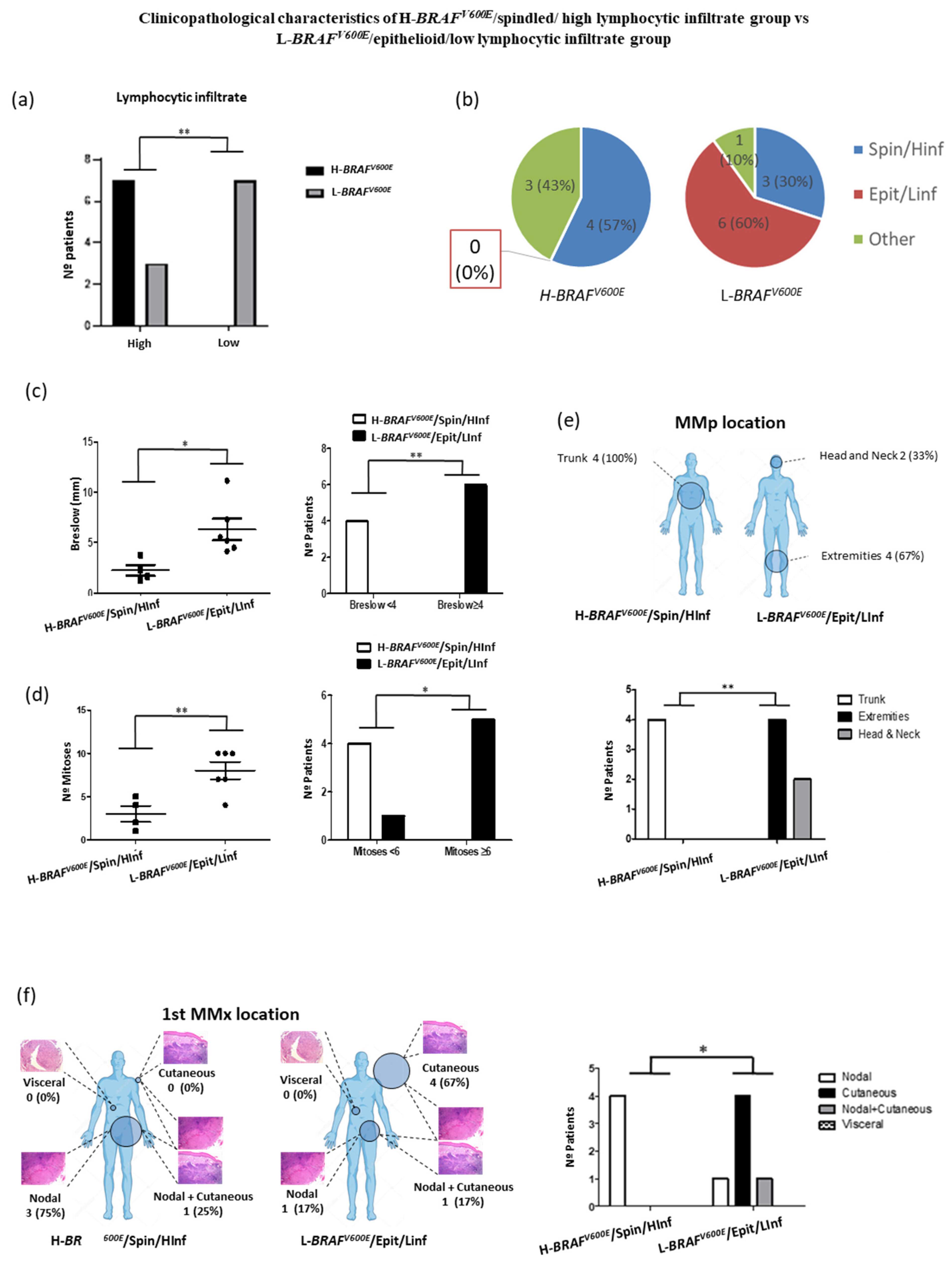 Cancers 13 05073 g004 550