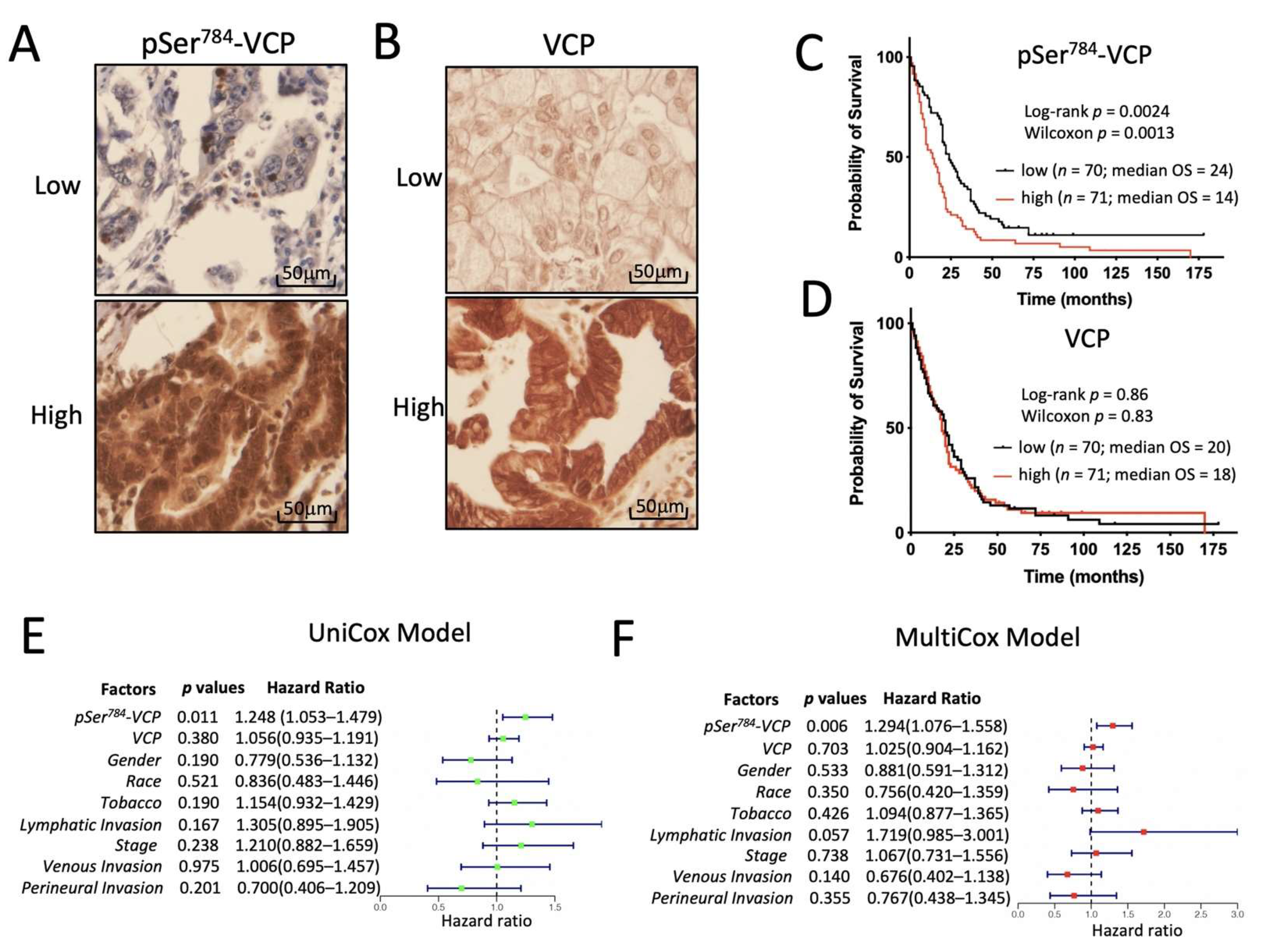 Cancers 13 05076 g005 Cancers 13 05076 g005