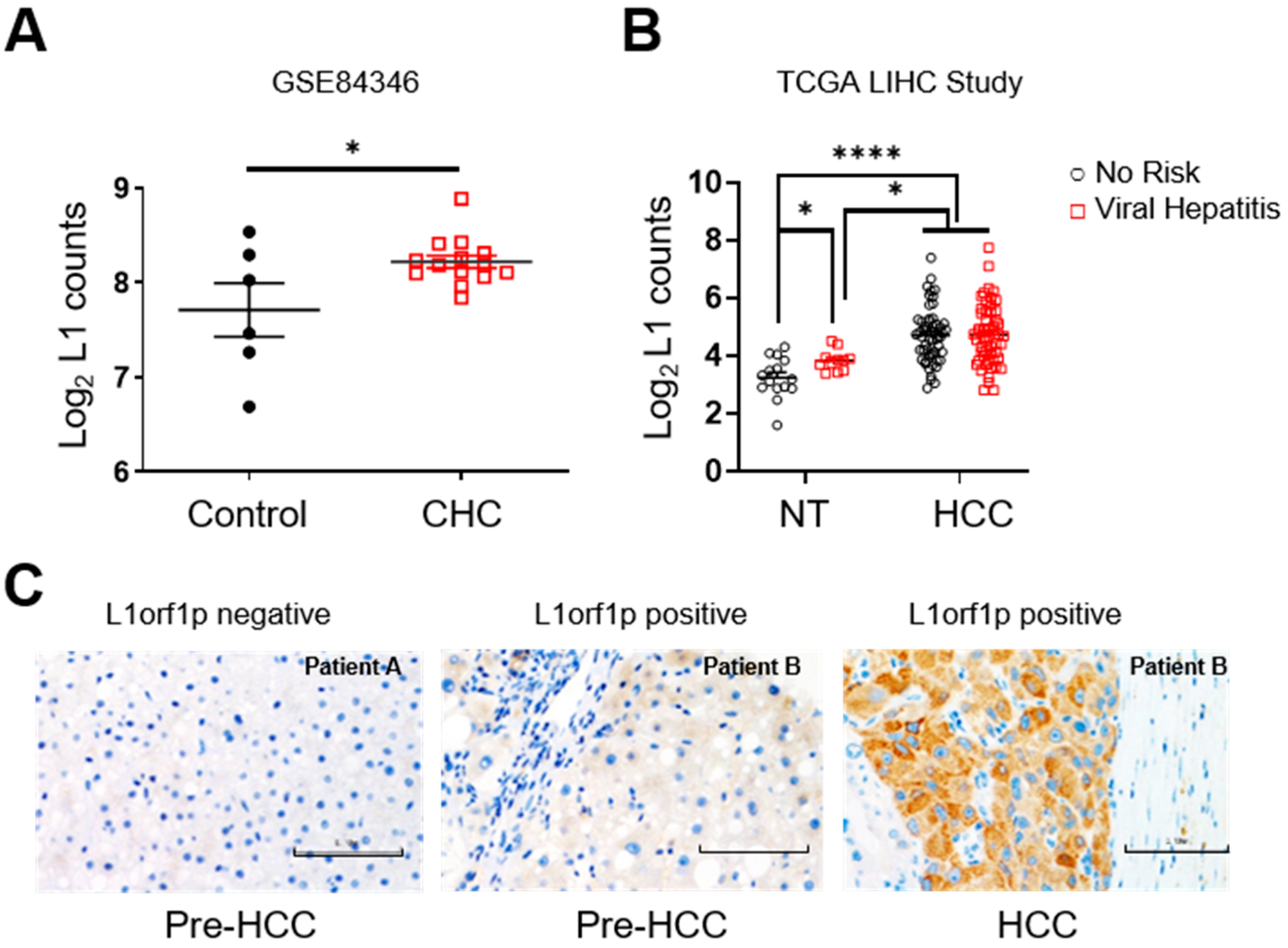 Cancers 13 05079 g001
