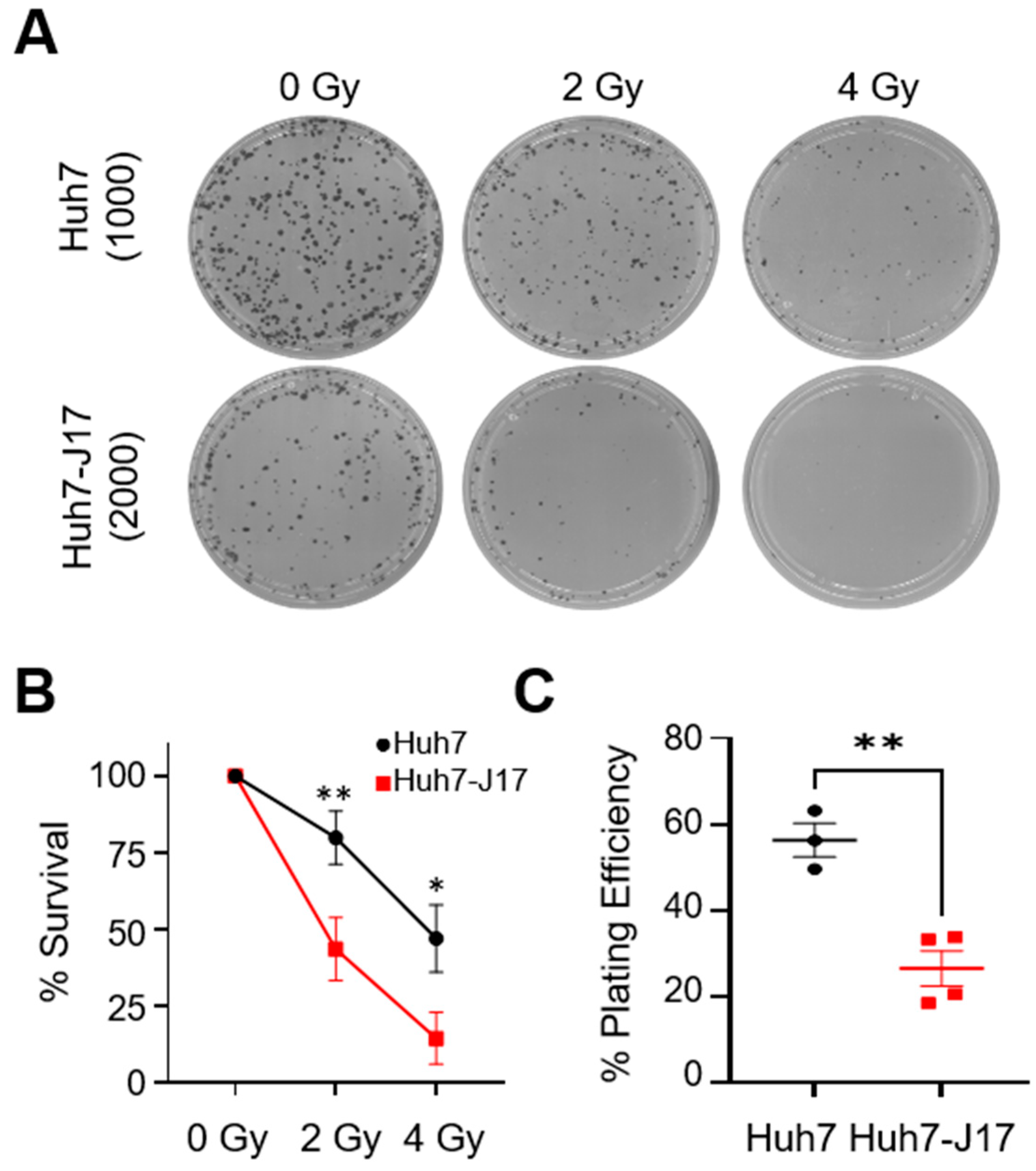 Cancers 13 05079 g003