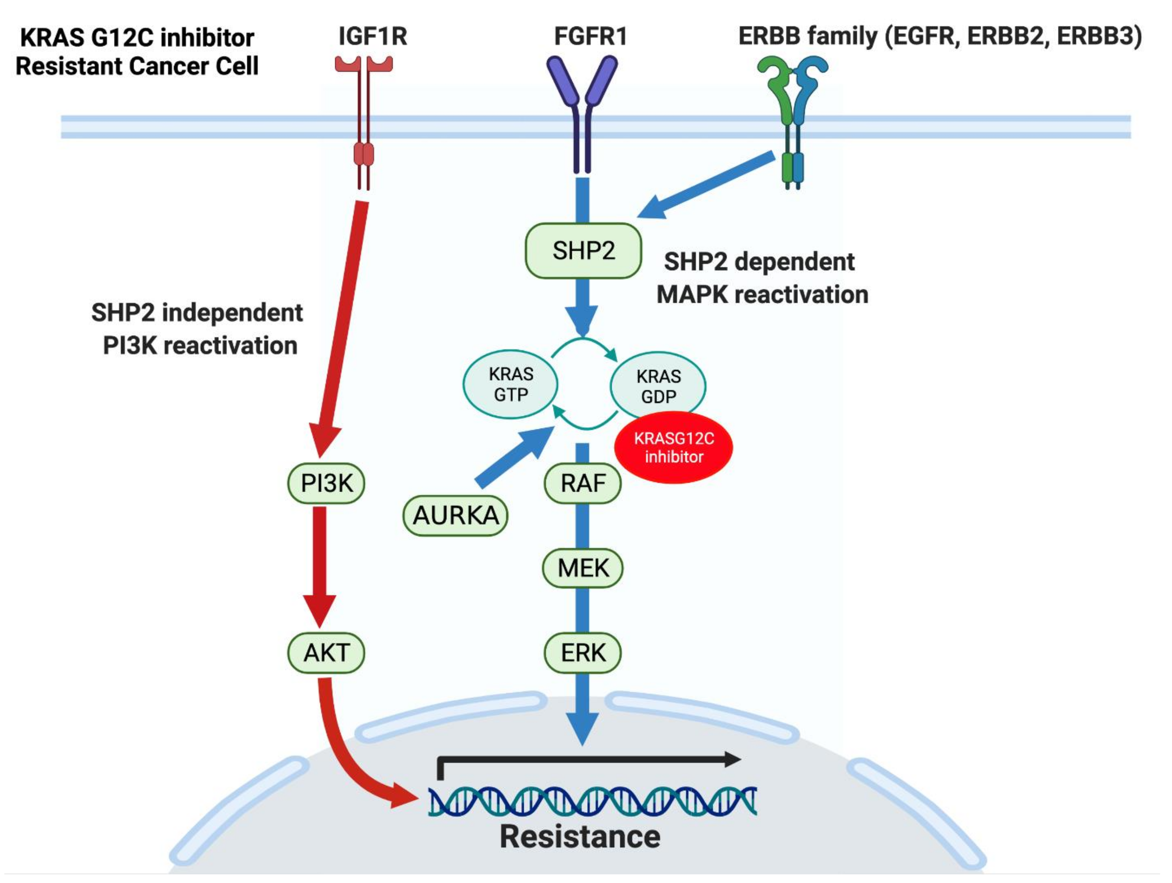 Cancers 13 05081 g002