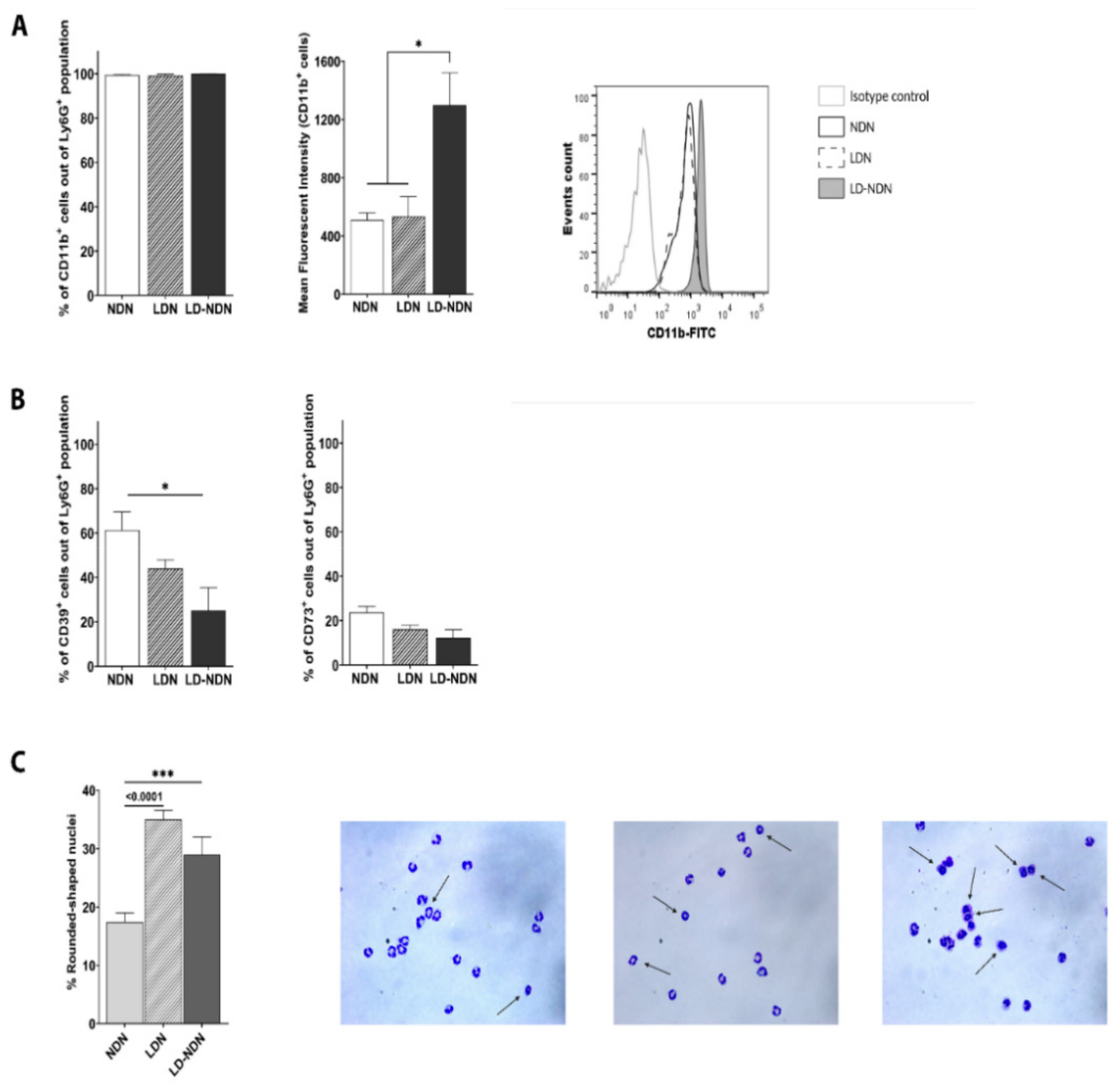 Cancers 13 05082 g005 550