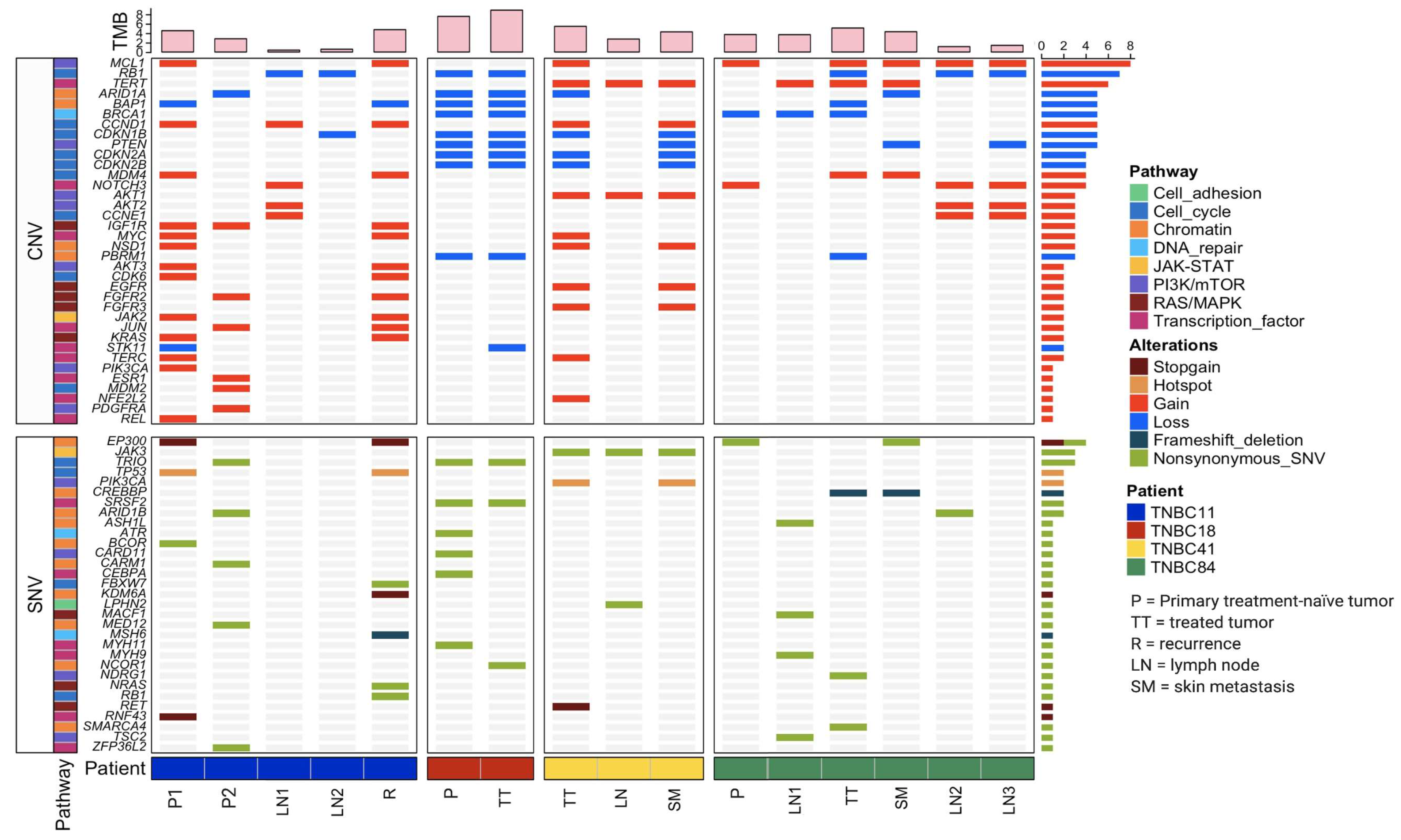 Cancers 13 05091 g002 Cancers 13 05091 g002
