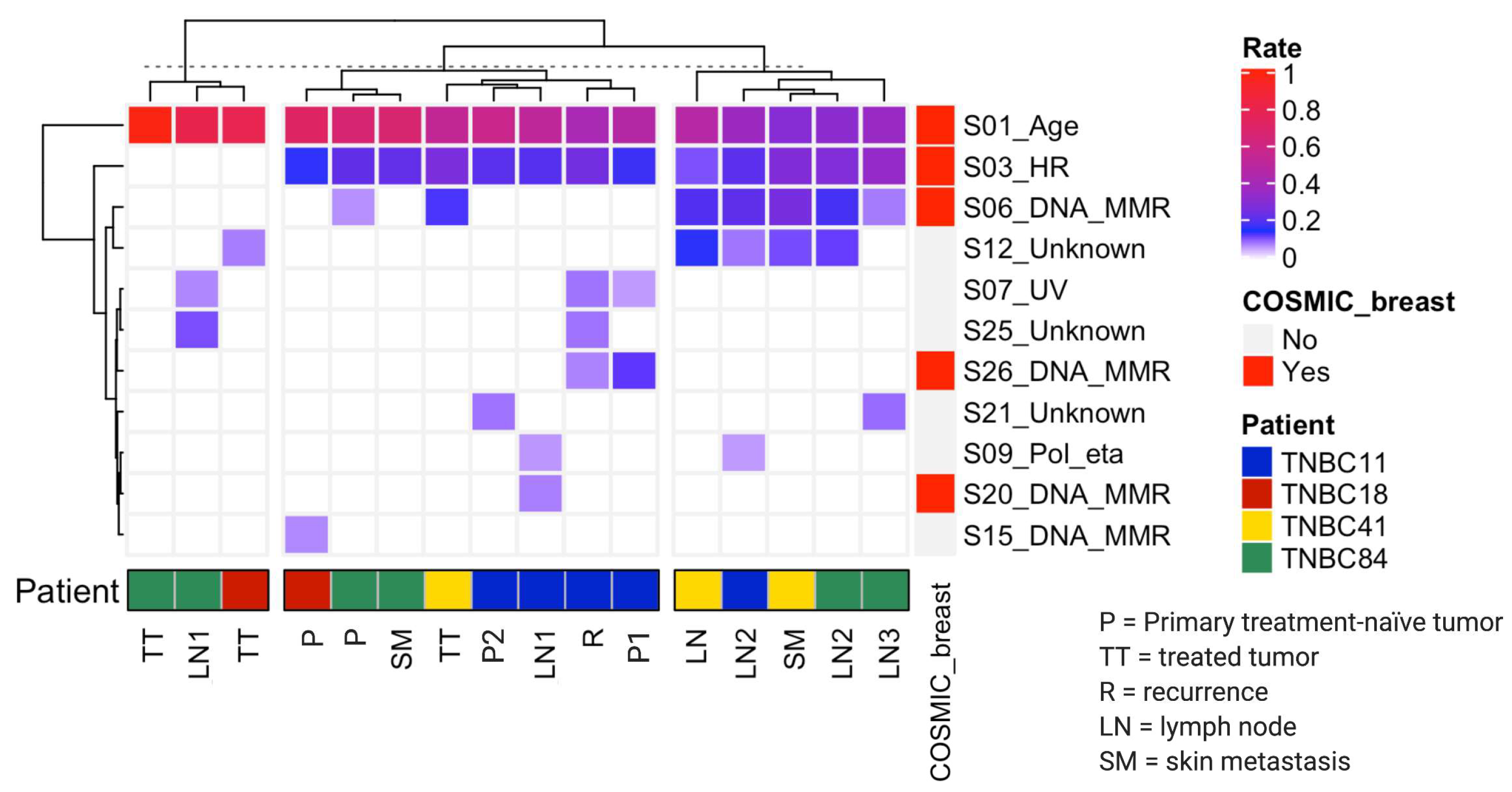 Cancers 13 05091 g003 Cancers 13 05091 g003