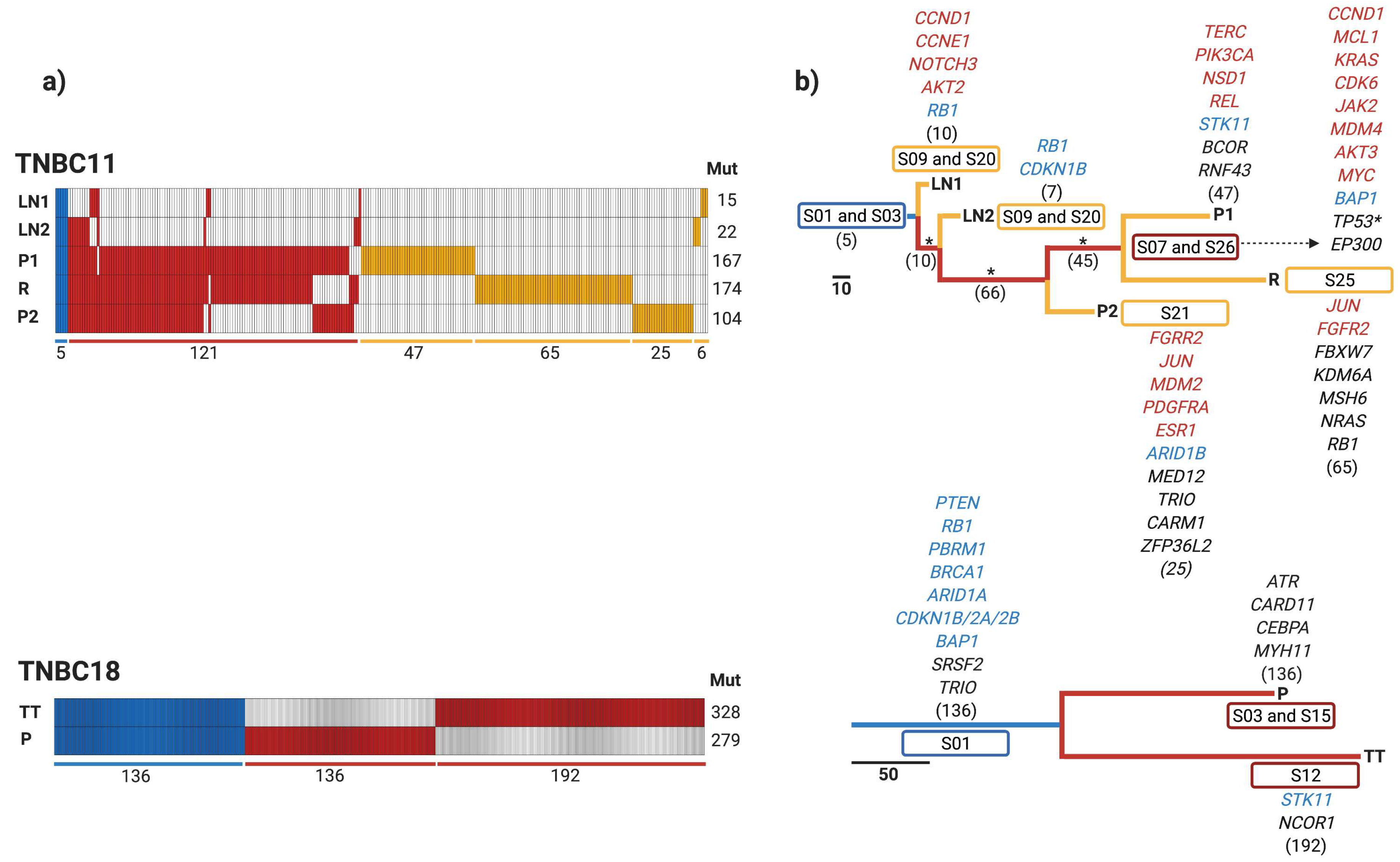 Cancers 13 05091 g004a Cancers 13 05091 g004a