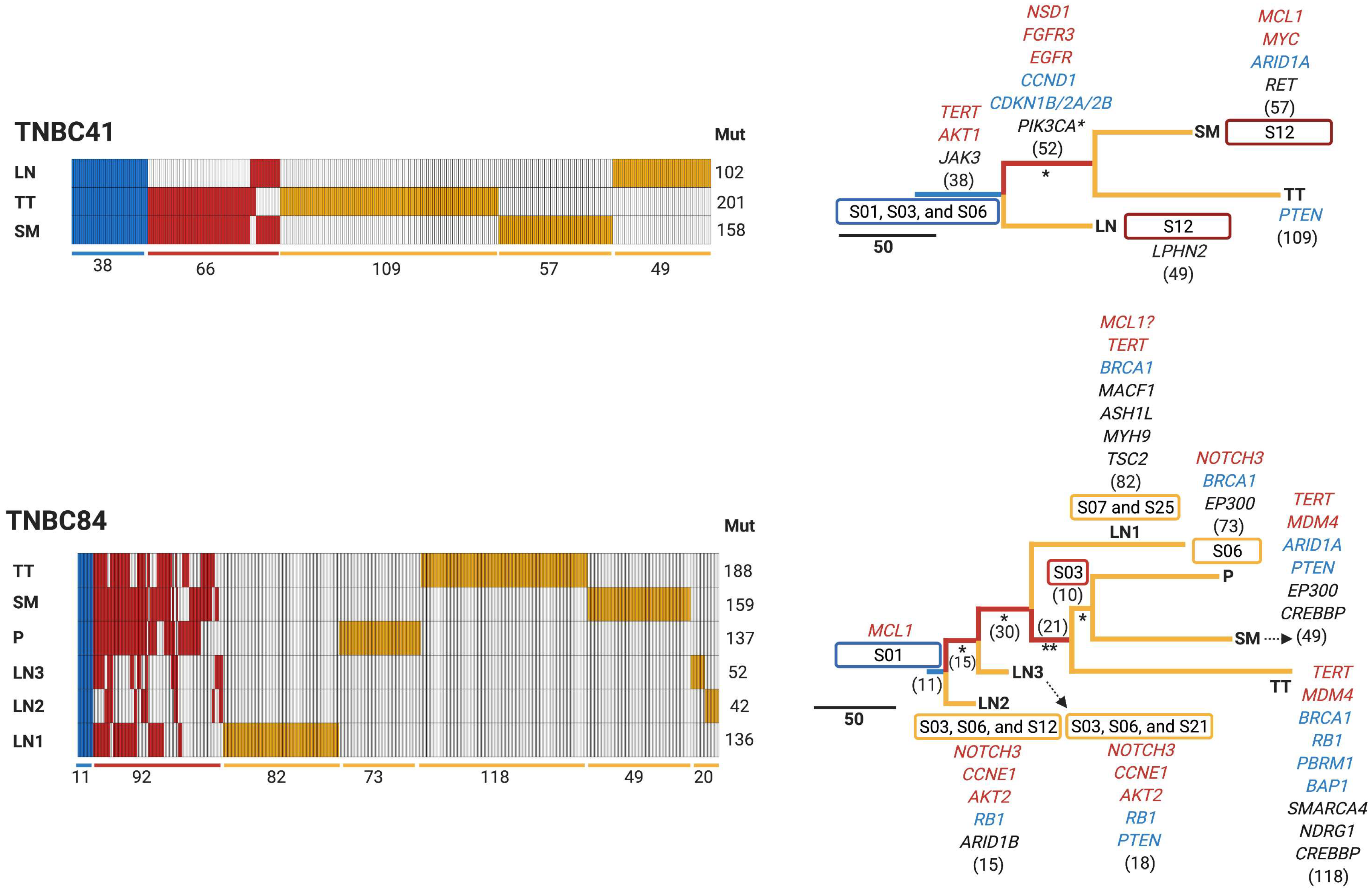 Cancers 13 05091 g004b Cancers 13 05091 g004b
