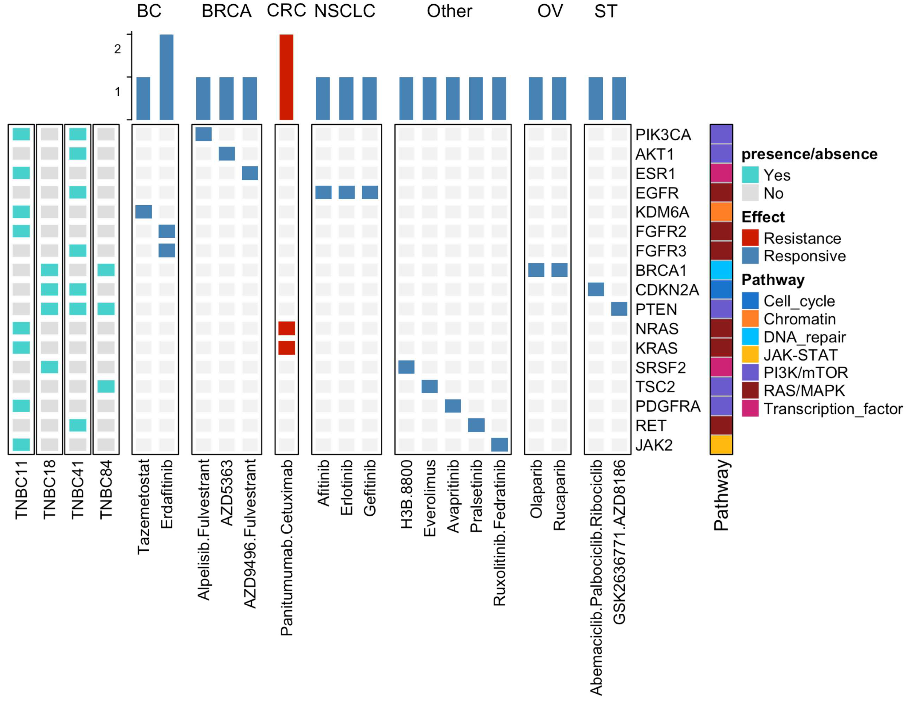 Cancers 13 05091 g005 Cancers 13 05091 g005
