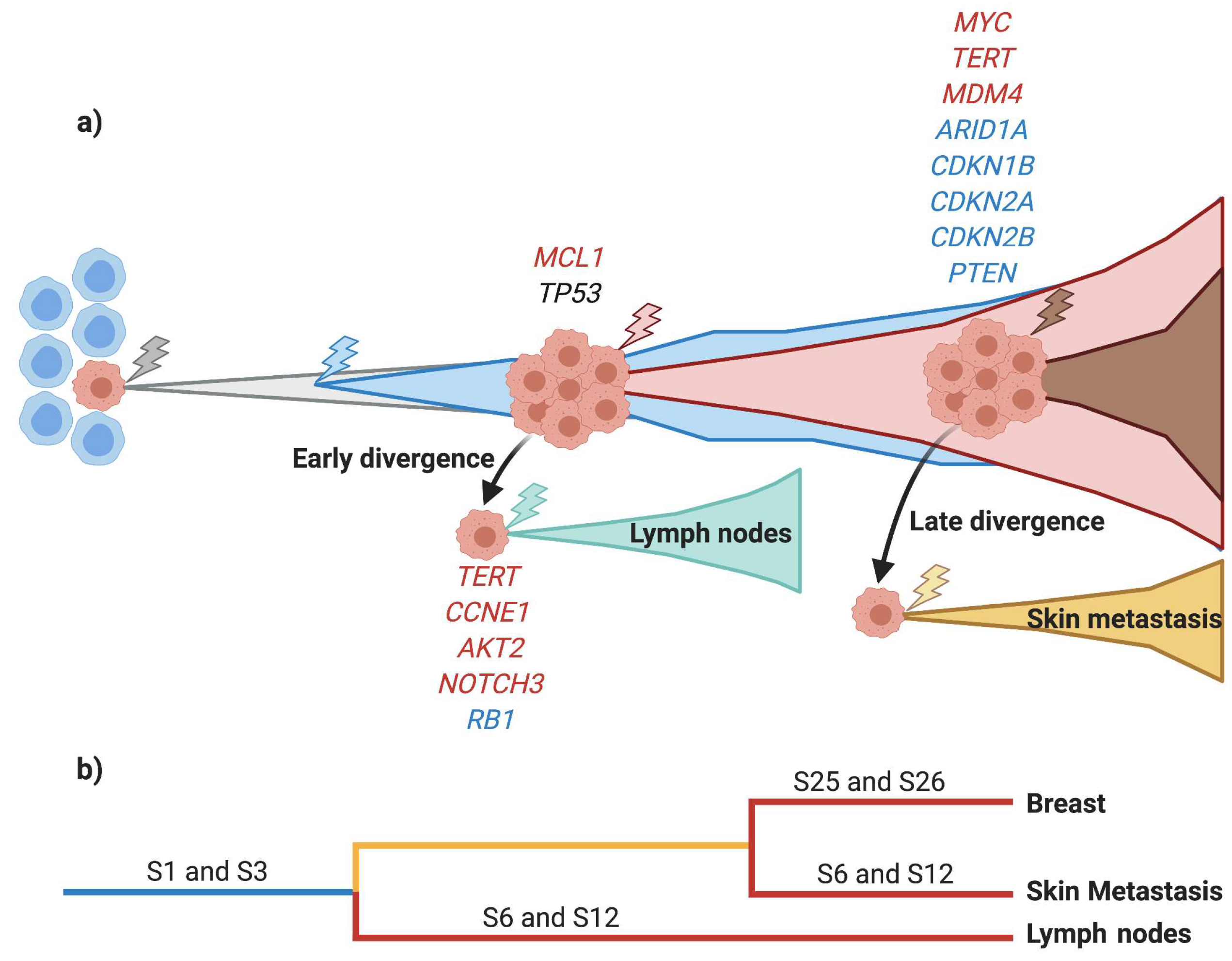 Cancers 13 05091 g006 Cancers 13 05091 g006