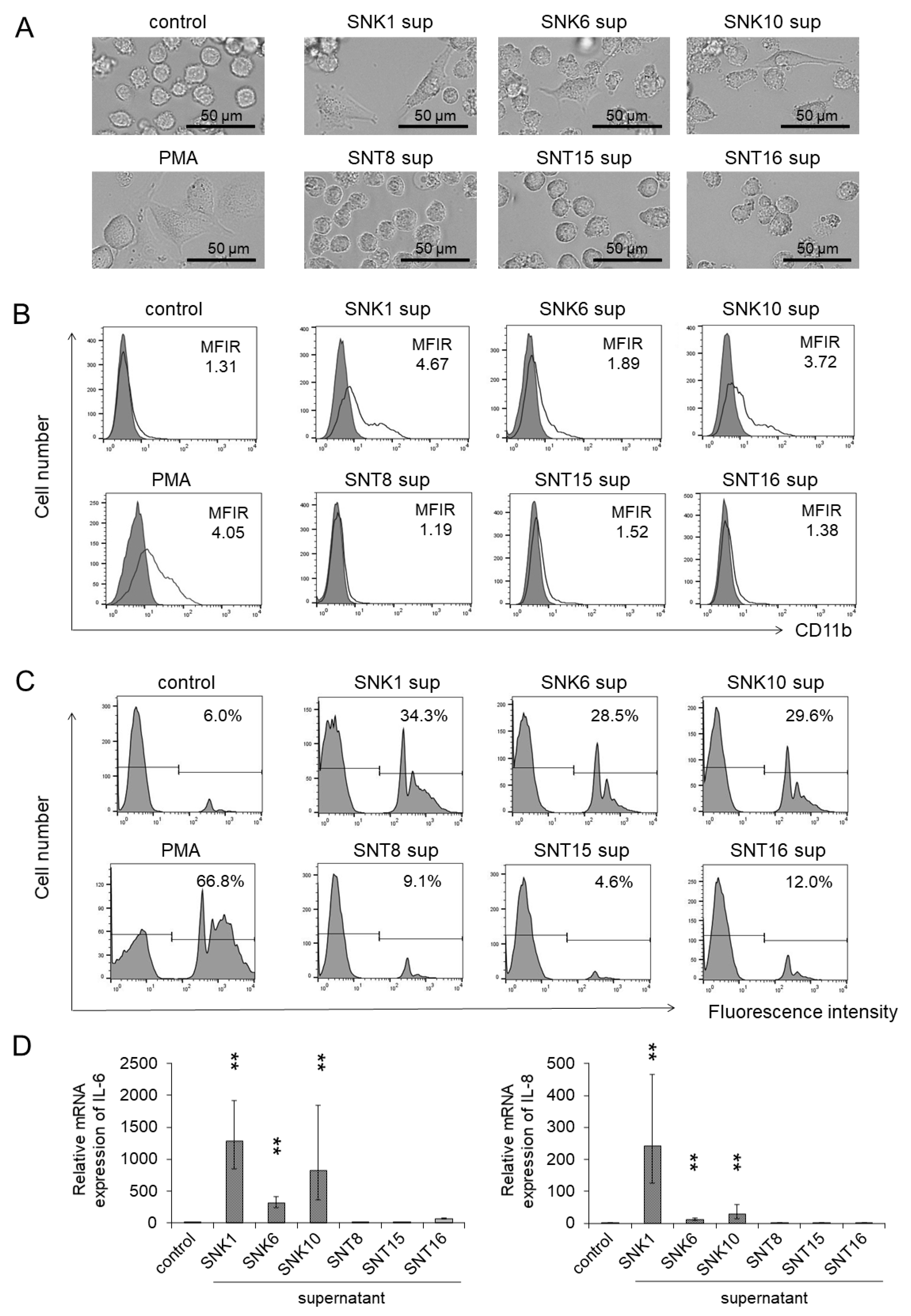 Cancers 13 05097 g001 Cancers 13 05097 g001