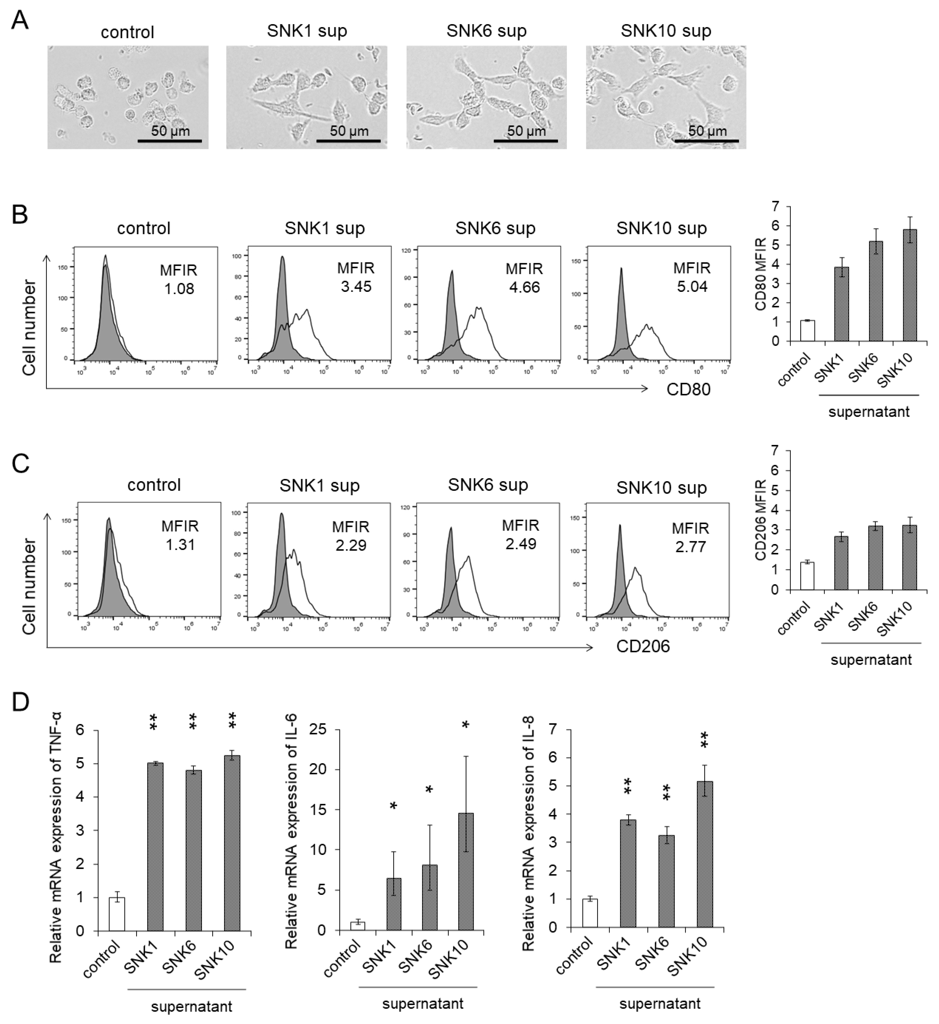 Cancers 13 05097 g002 Cancers 13 05097 g002