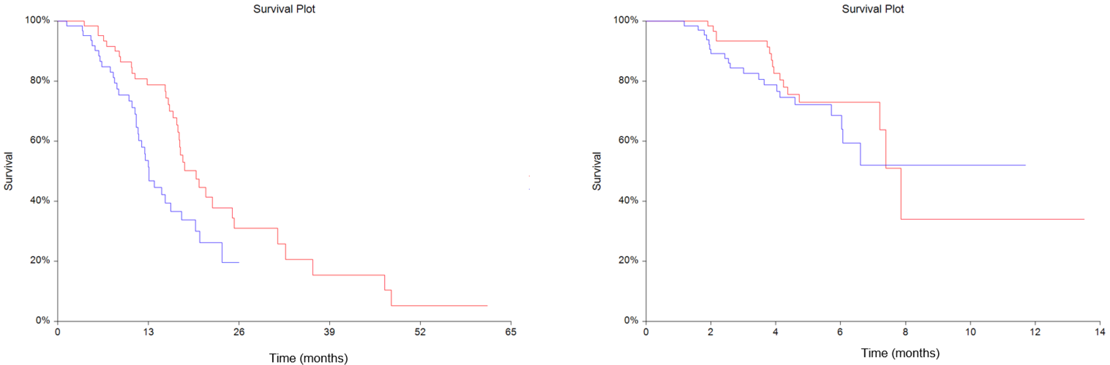 Cancers 13 05100 g001 Cancers 13 05100 g001