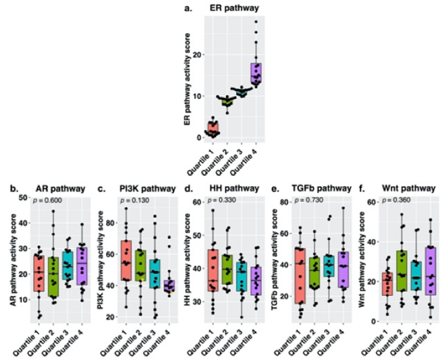 Cancers 13 05101 g004