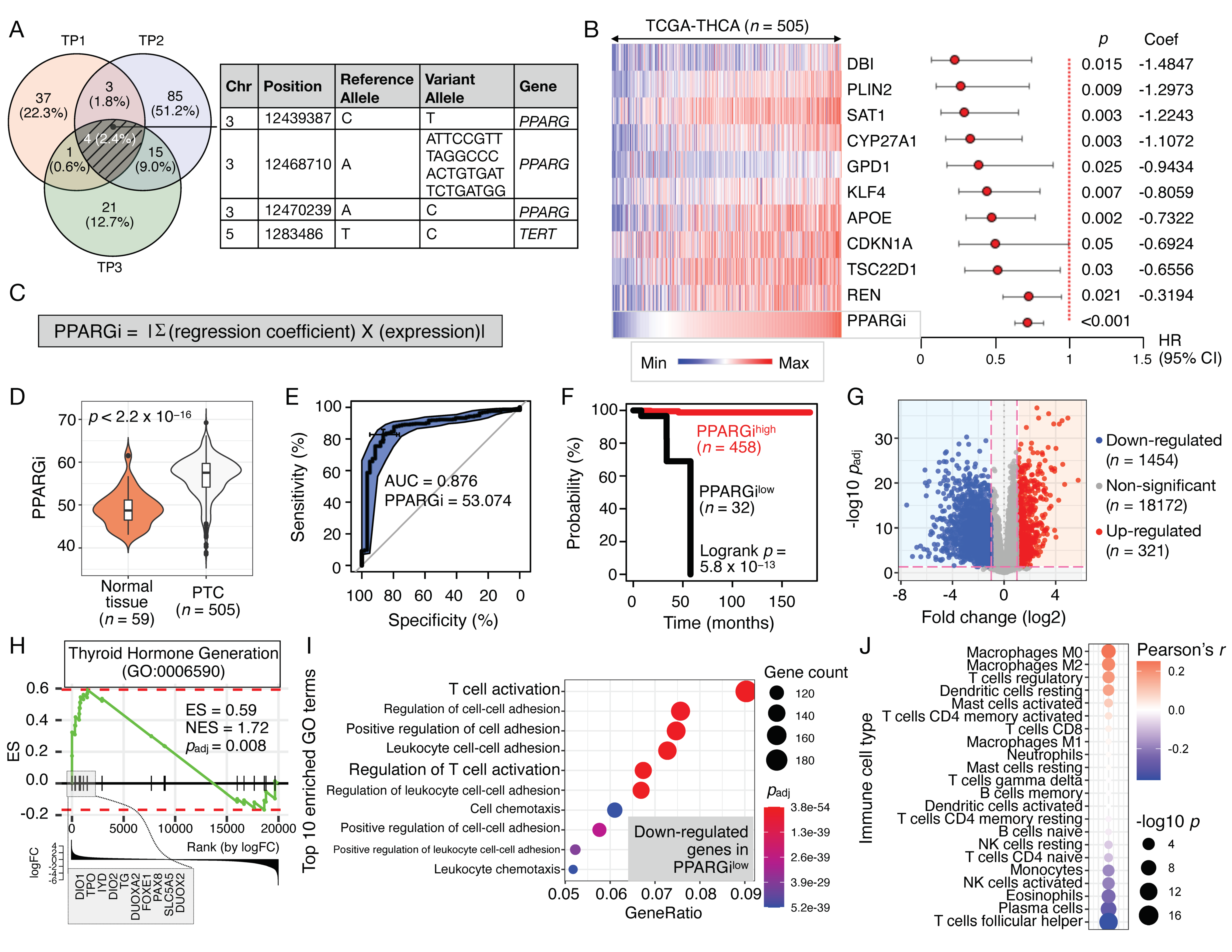 Cancers 13 05110 g001