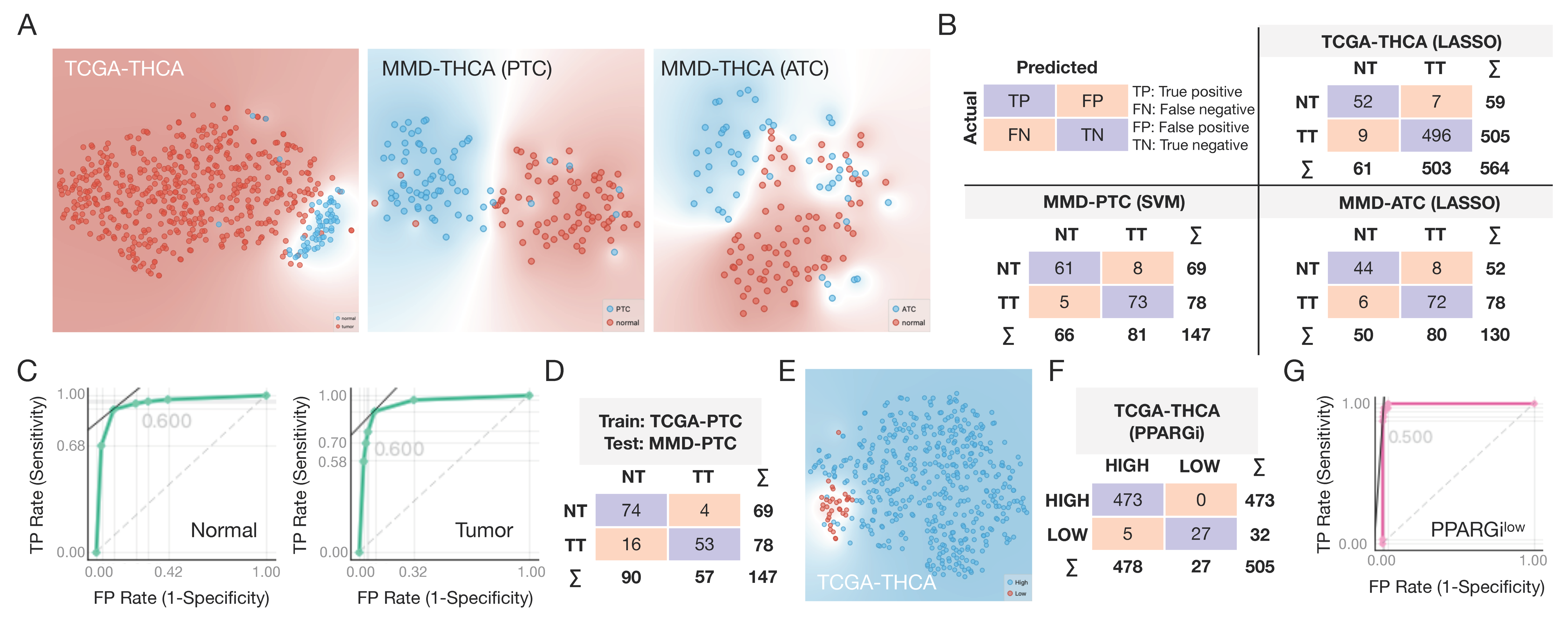 Cancers 13 05110 g004
