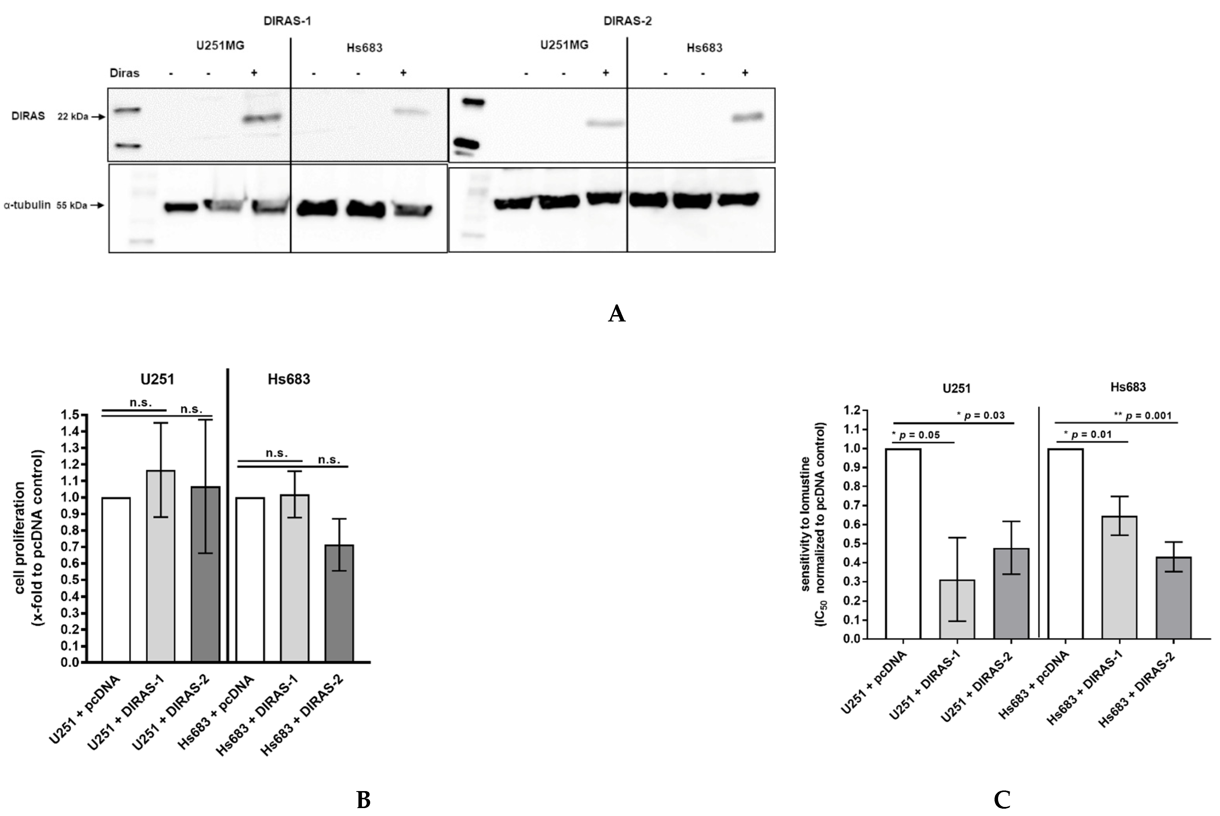 Cancers 13 05113 g005 550