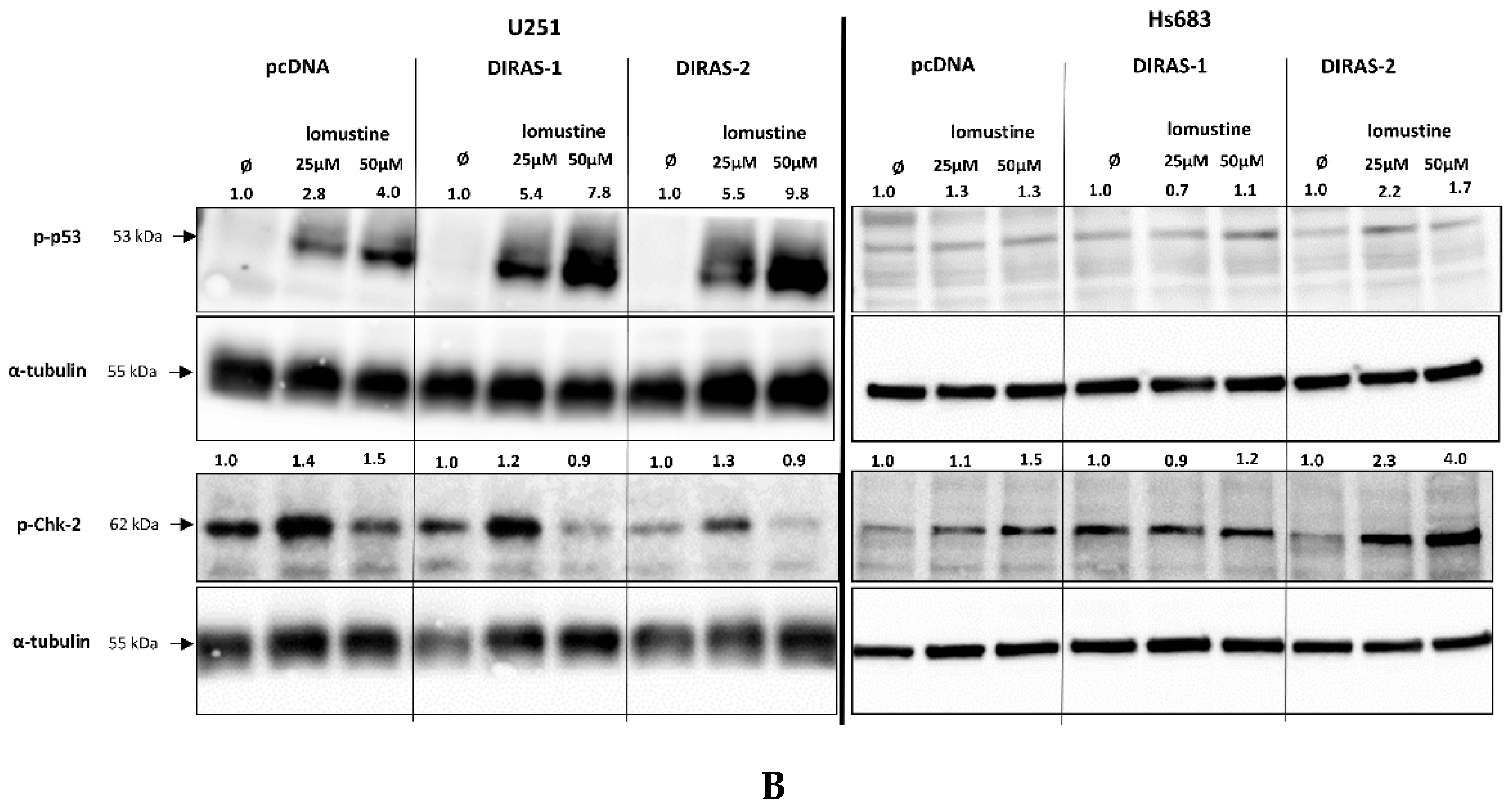 Cancers 13 05113 g006b 550