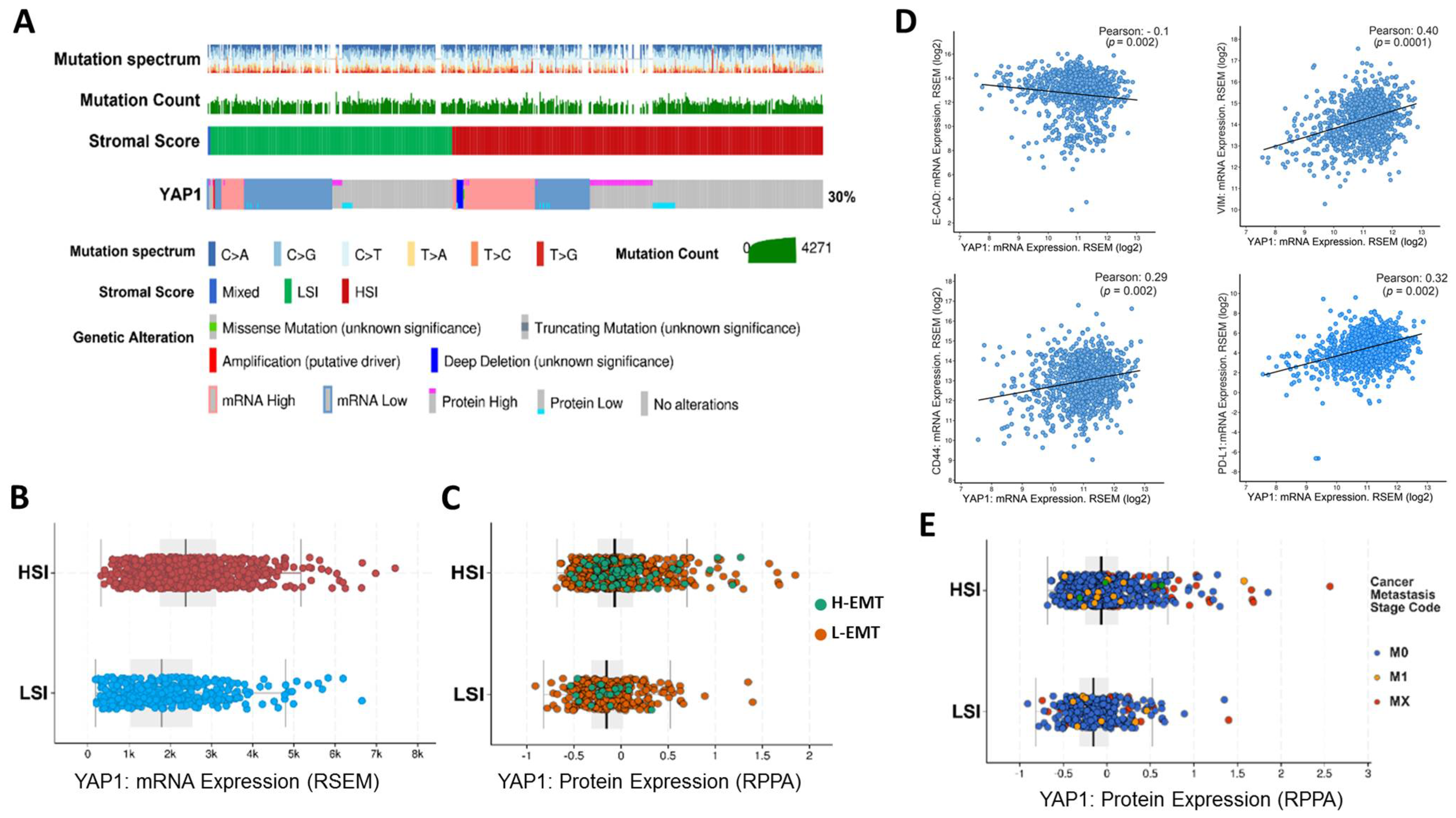 Cancers 13 05118 g001