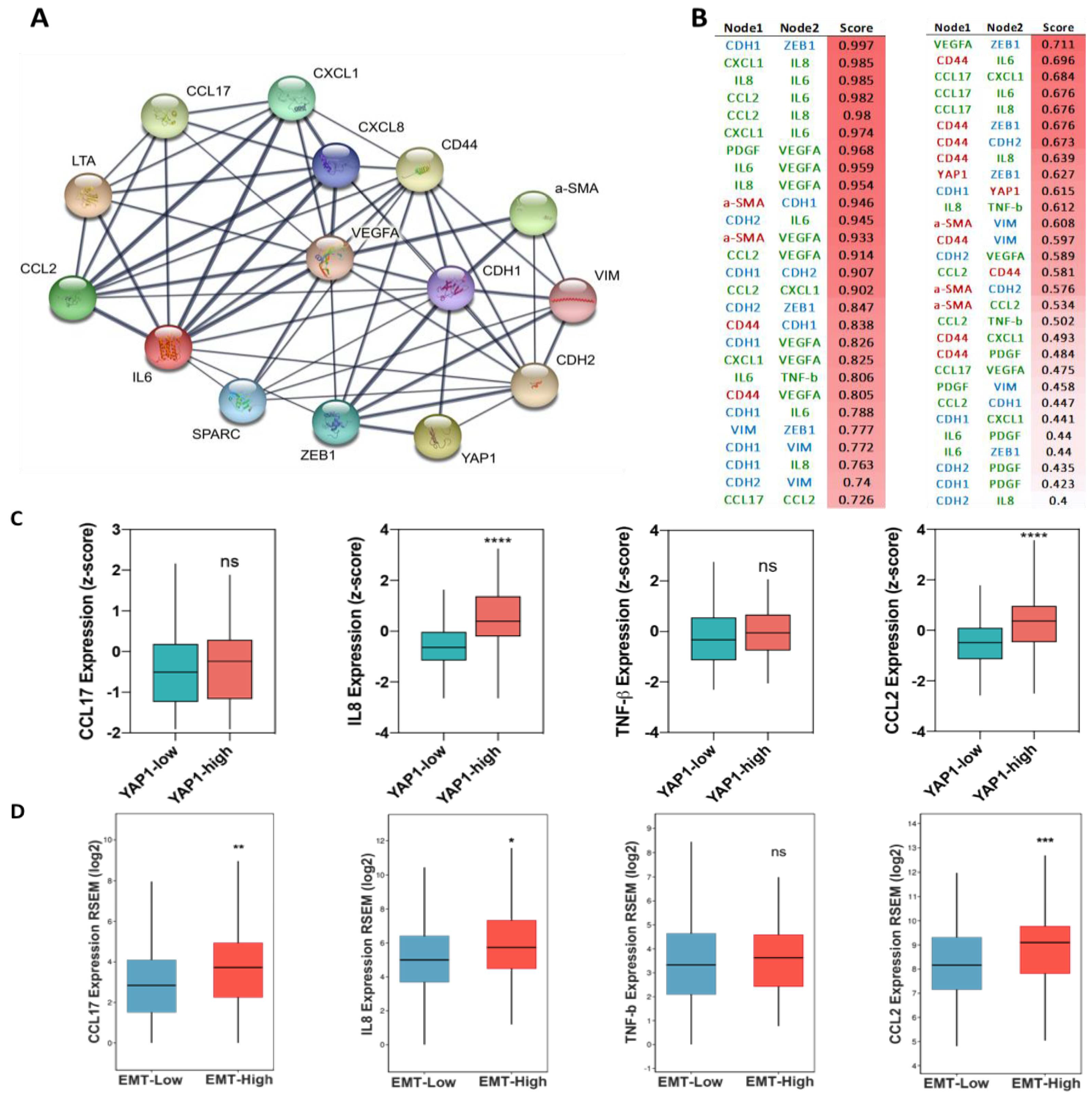 Cancers 13 05118 g006