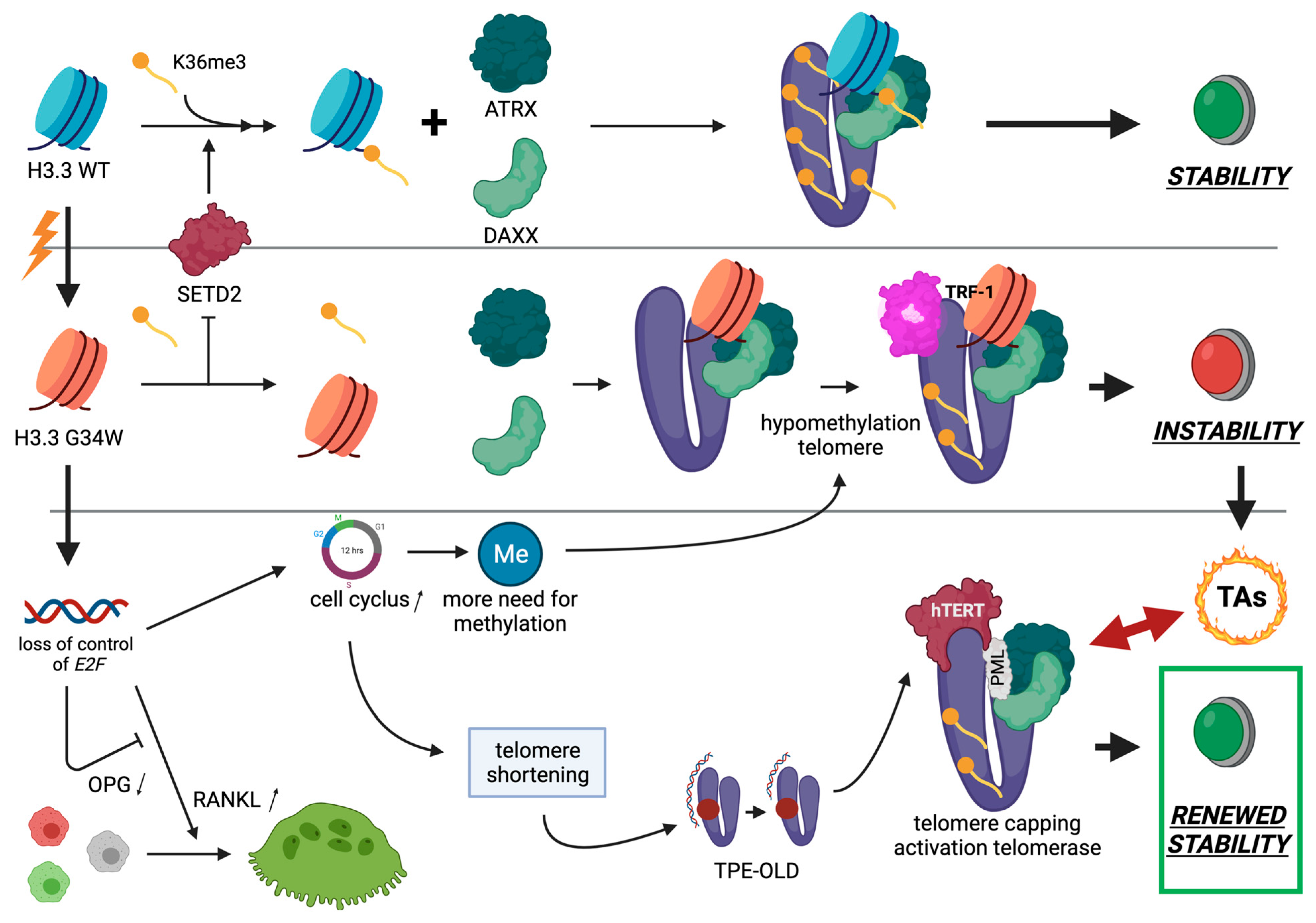Cancers 13 05119 g003 550