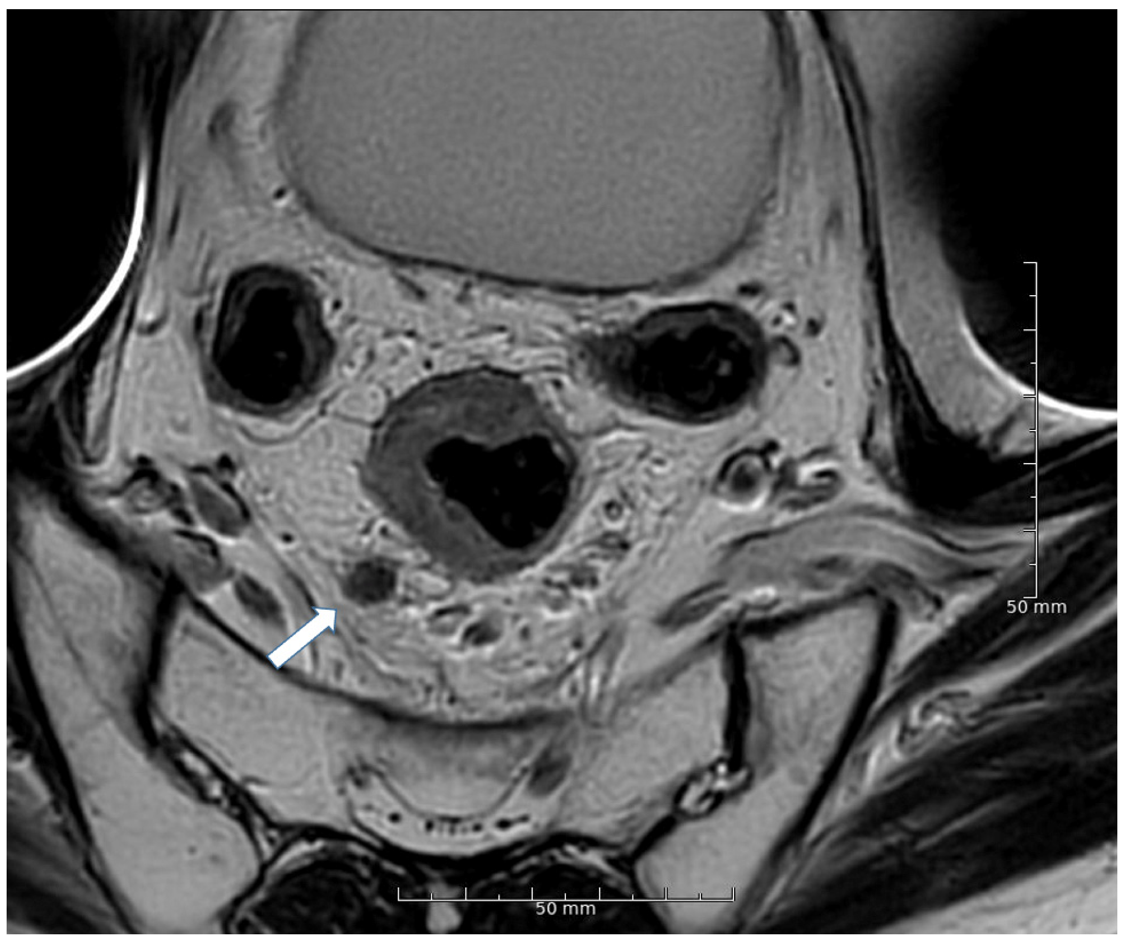 Cancers 13 05120 g003 550