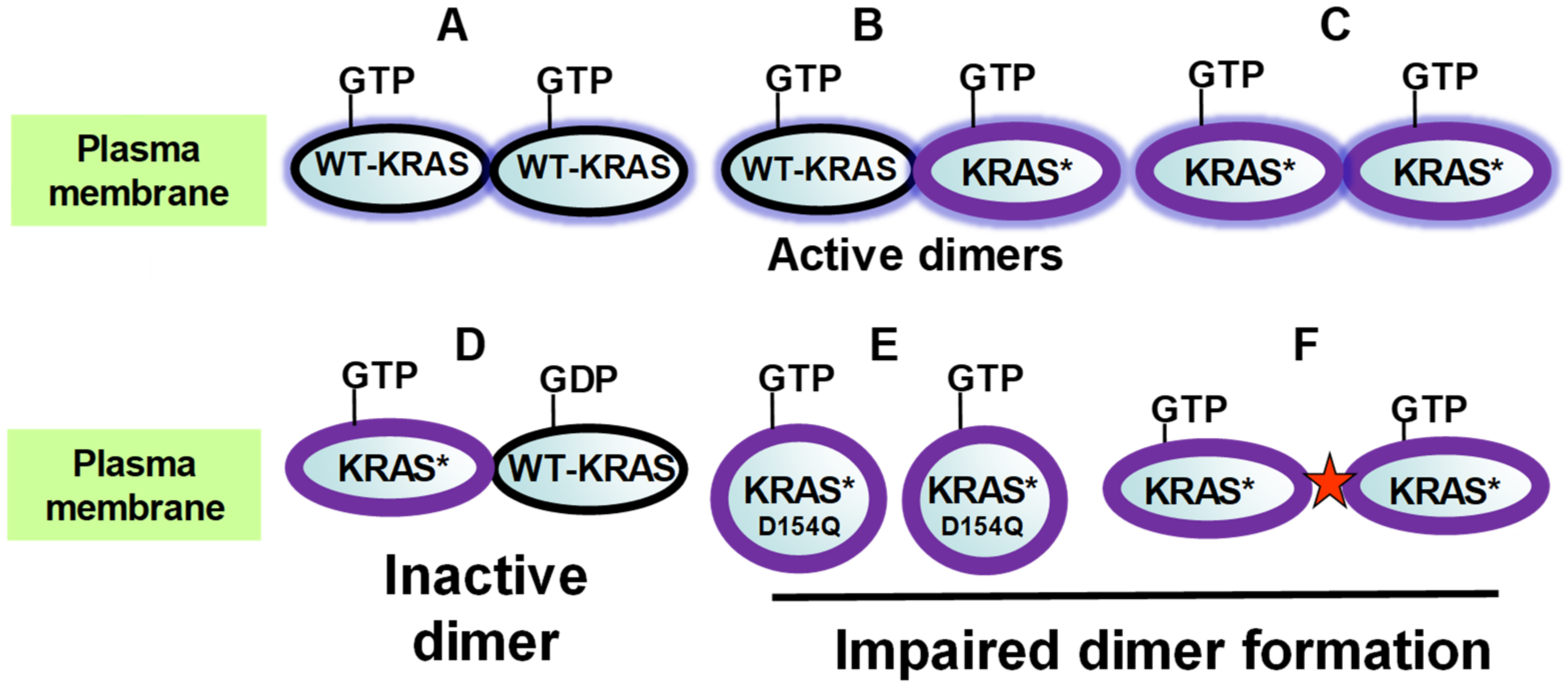 Cancers 13 05126 g001 550