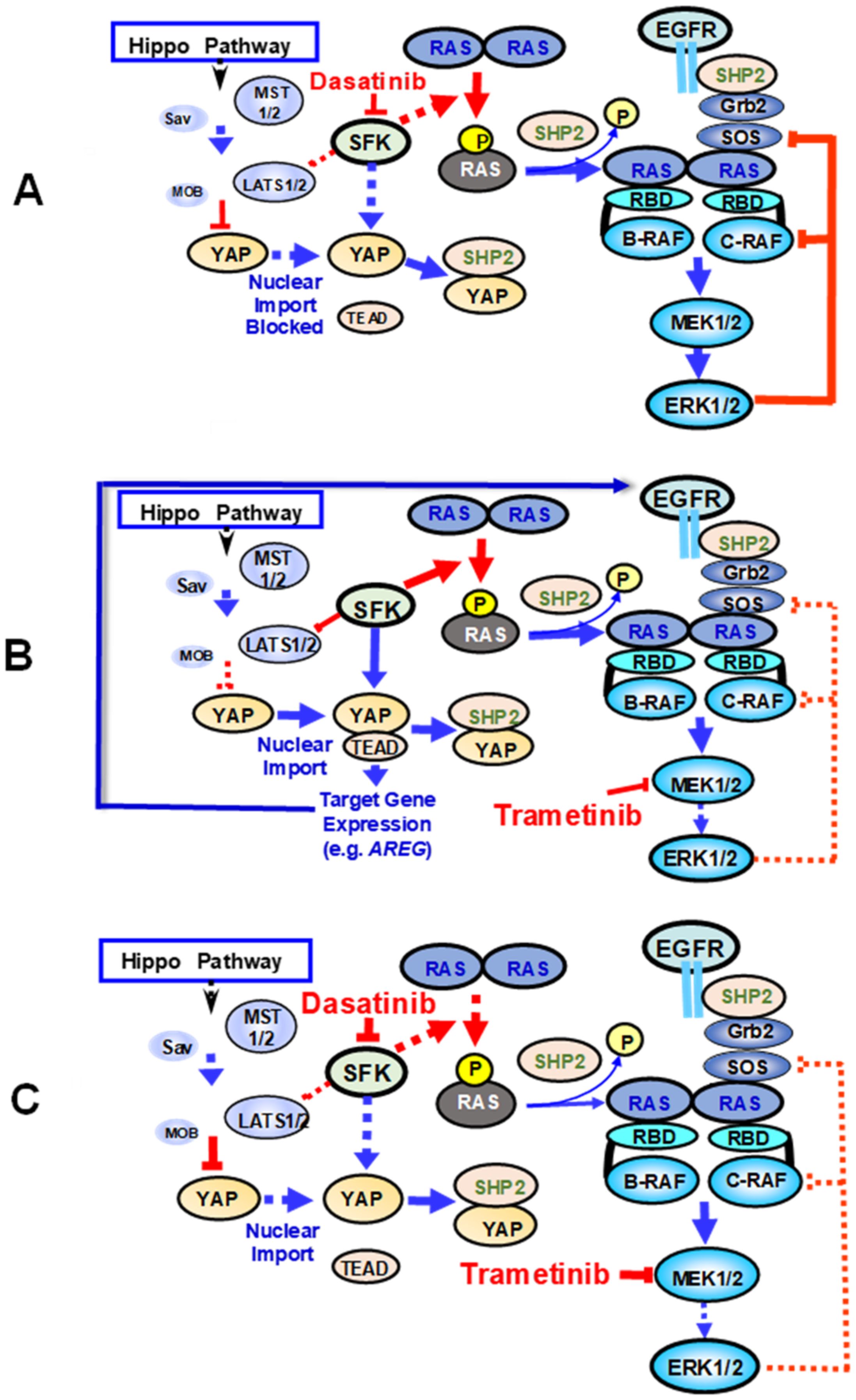 Cancers 13 05126 g003 550