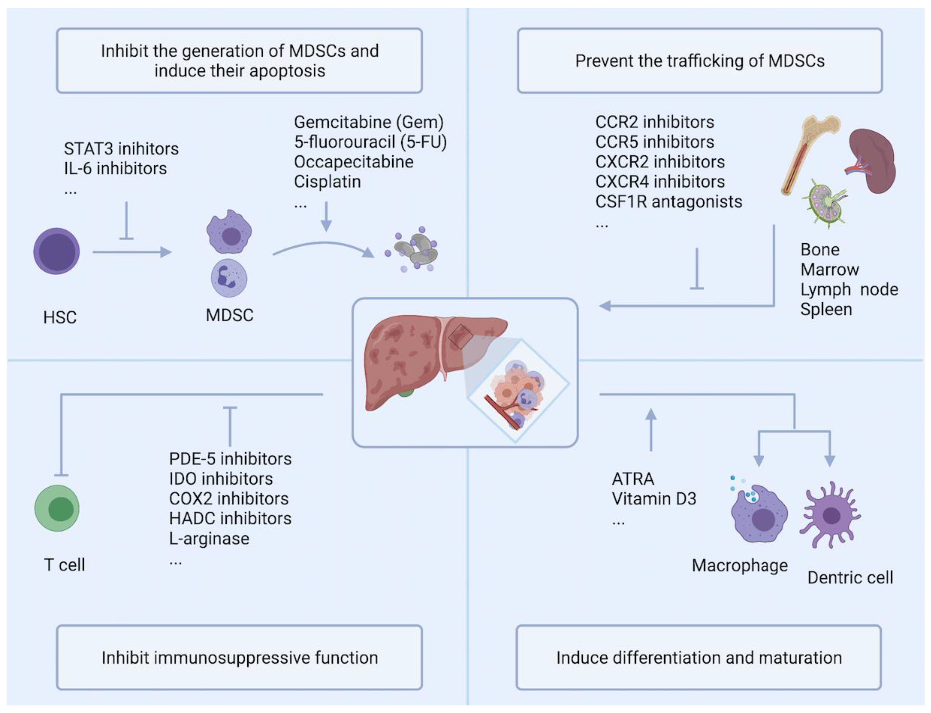 Cancers 13 05127 g002 Cancers 13 05127 g002