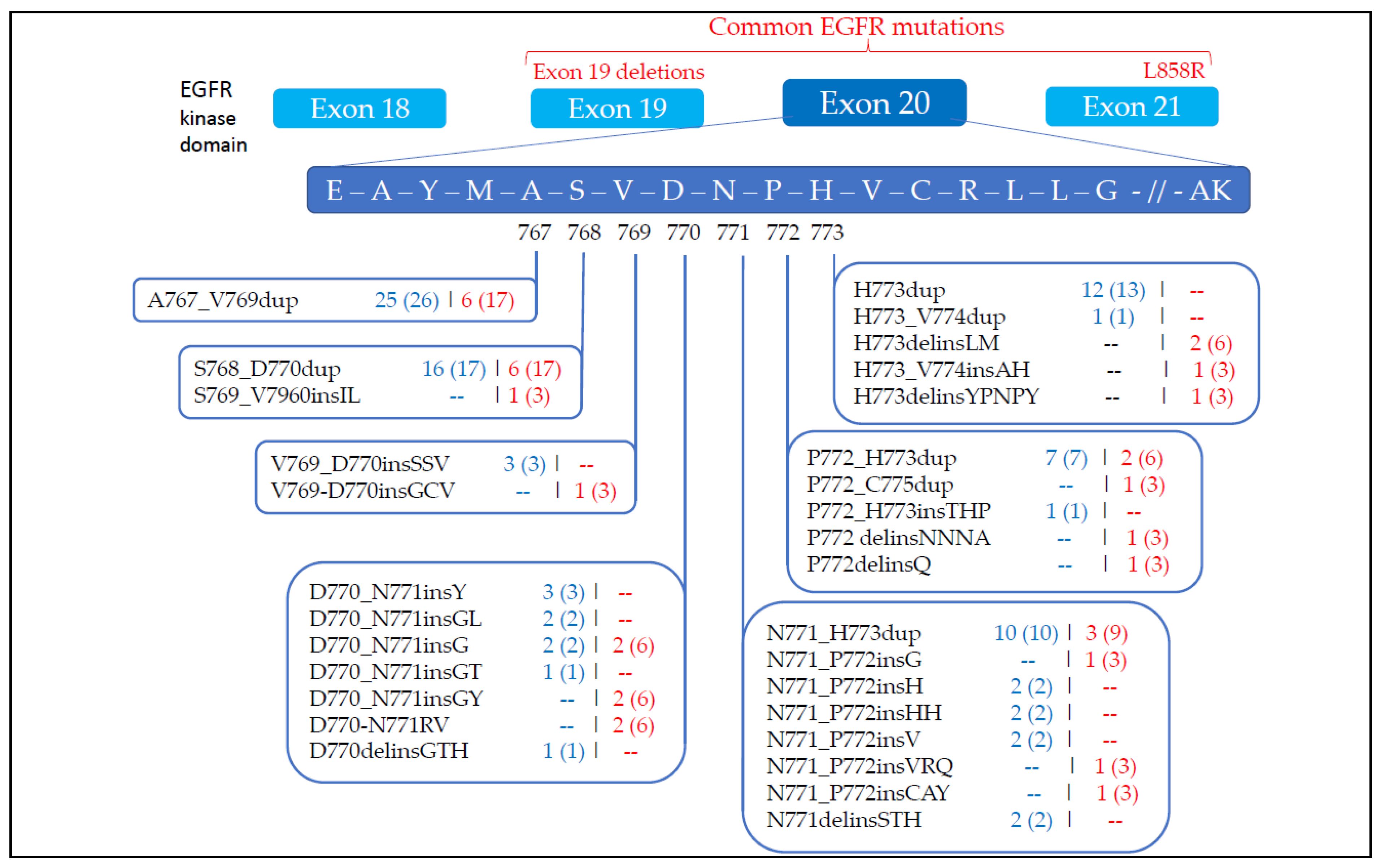 Cancers 13 05132 g001