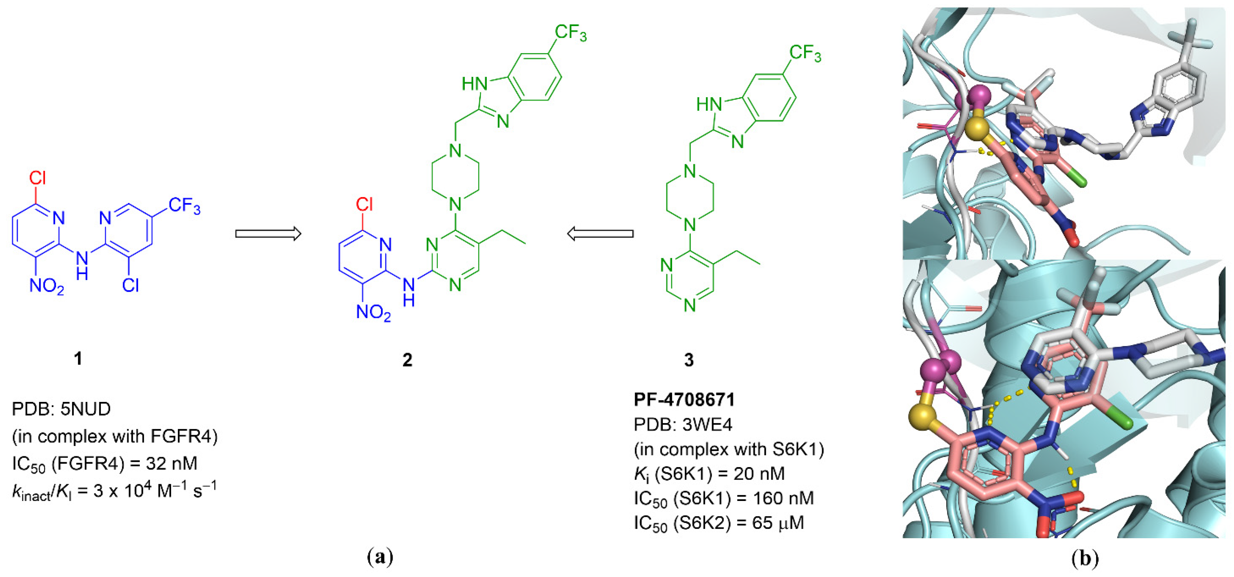 Cancers 13 05133 g001