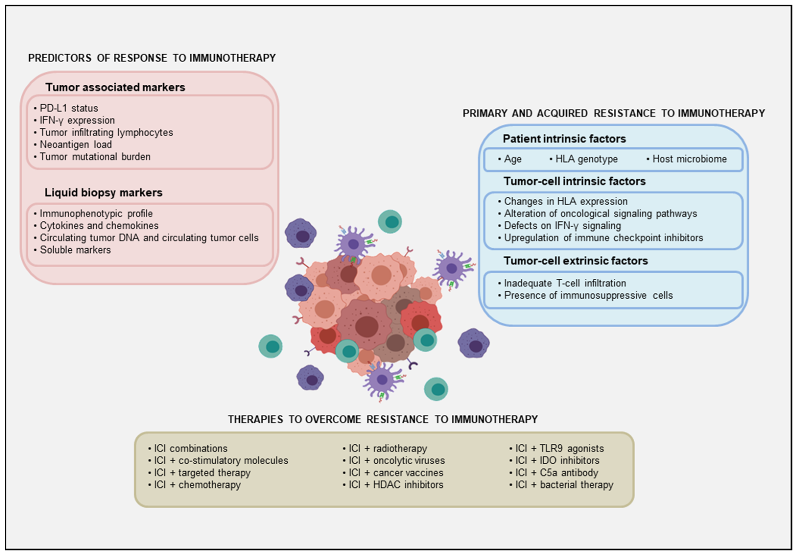 Cancers 13 05134 g002 550