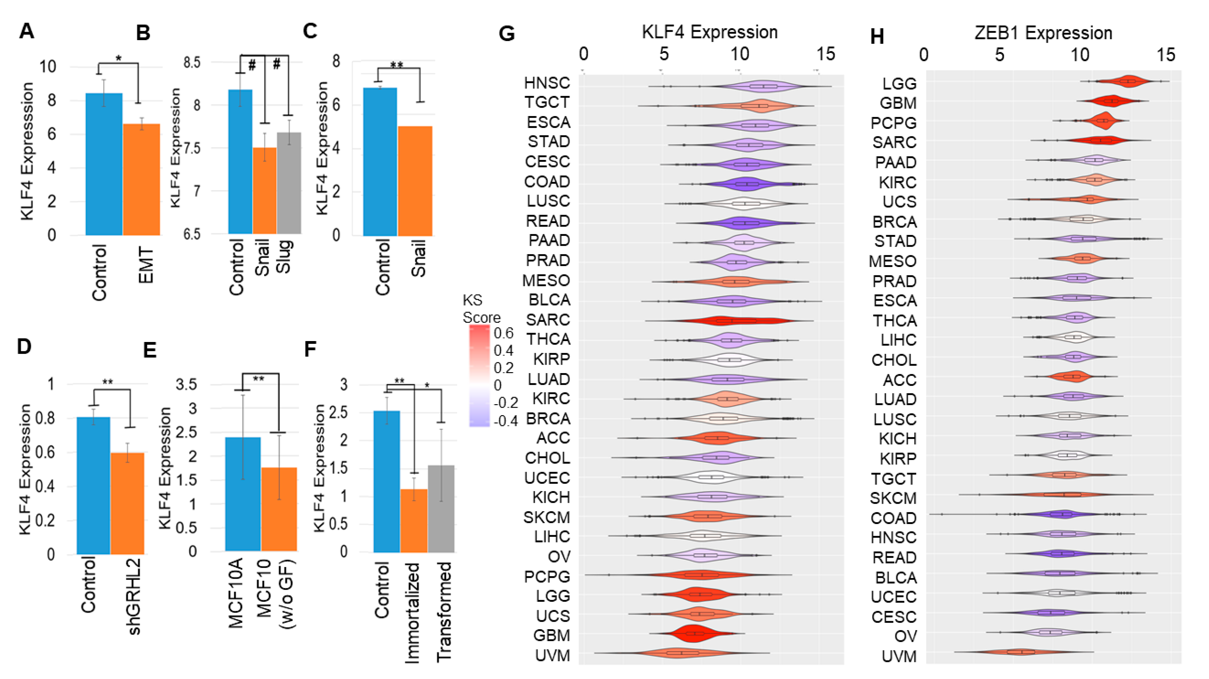 Cancers 13 05135 g003