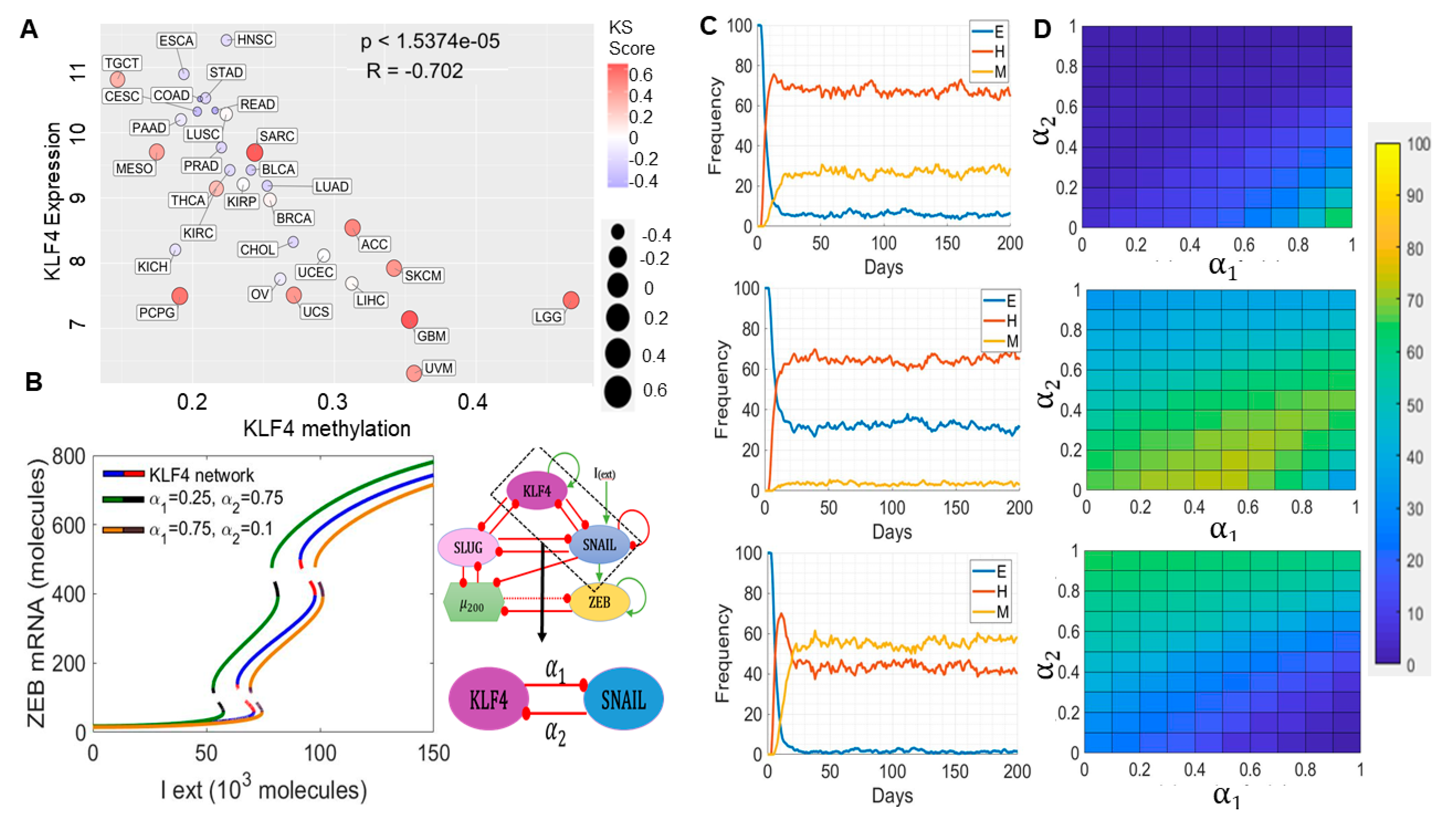 Cancers 13 05135 g004