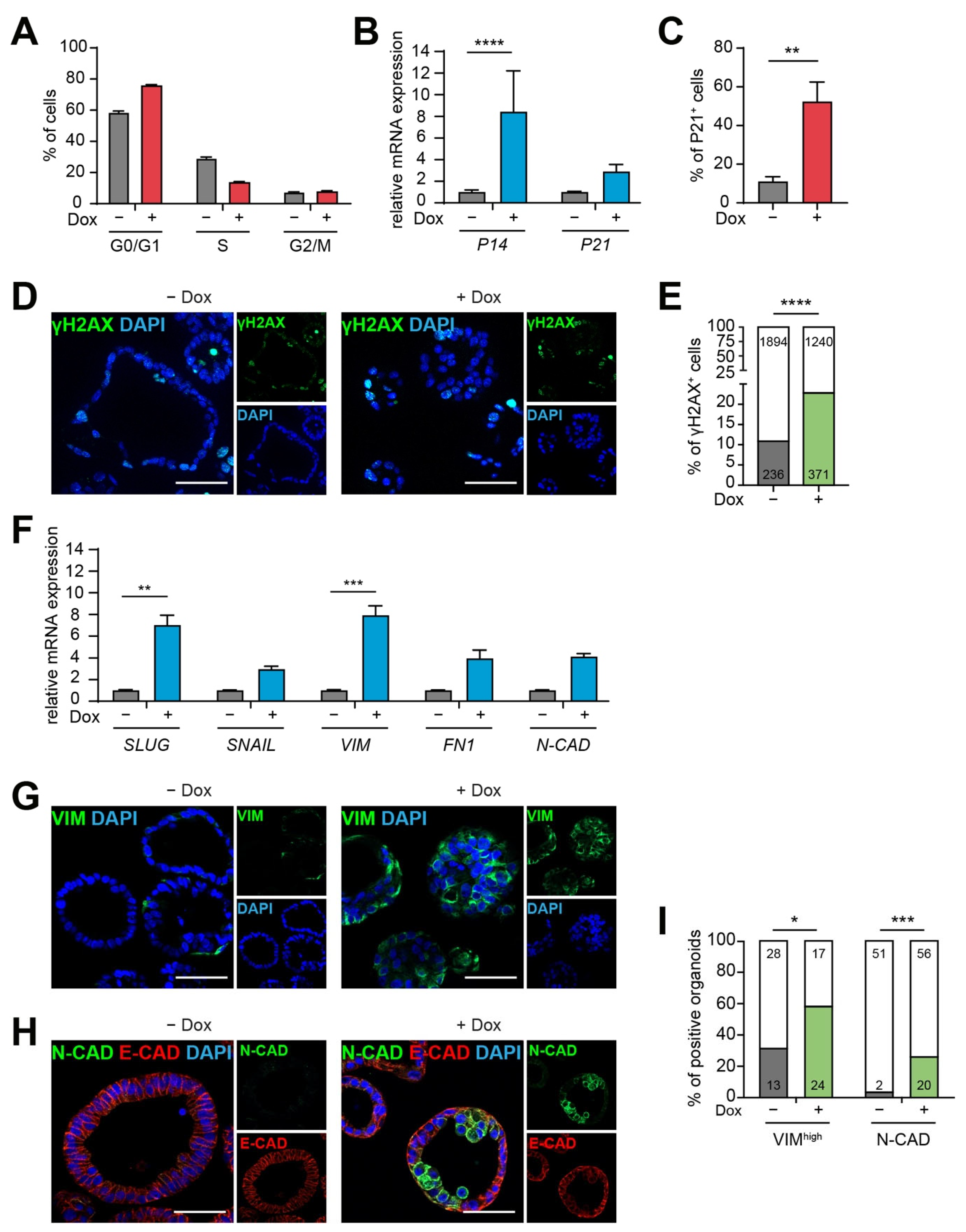 Cancers 13 05139 g003 Cancers 13 05139 g003