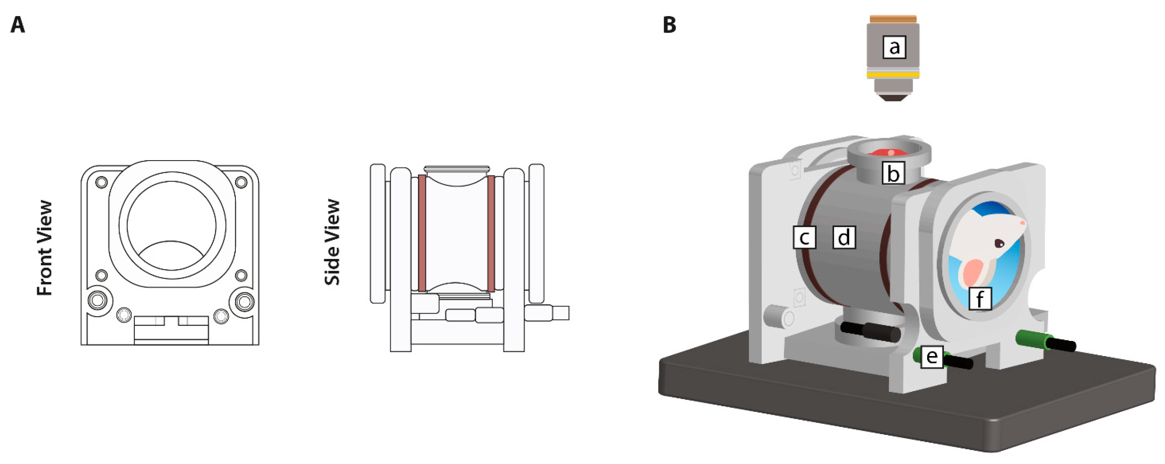 Cancers 13 05146 g003