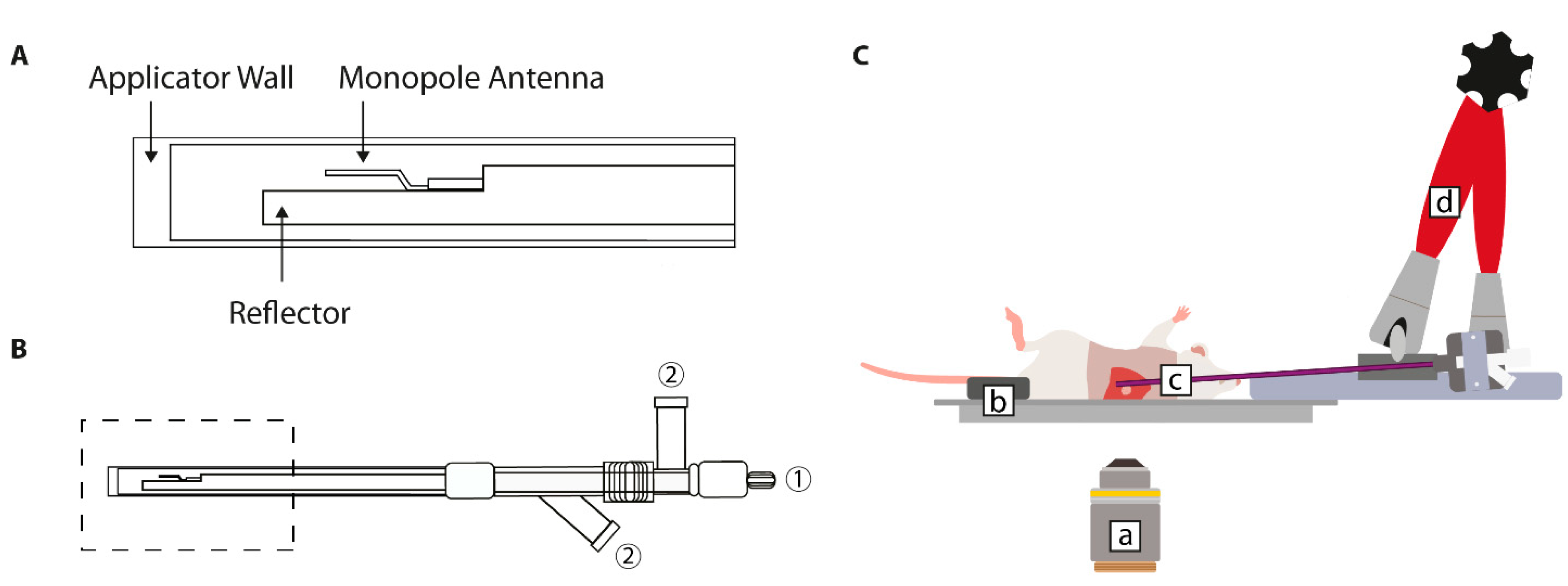 Cancers 13 05146 g004