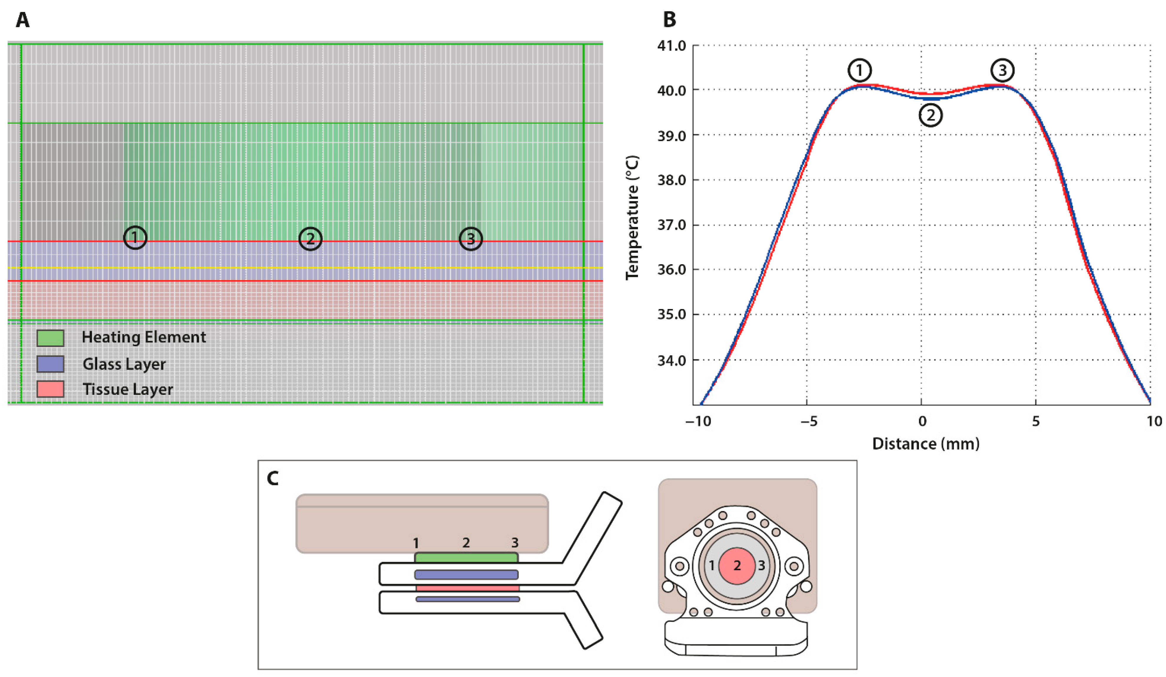 Cancers 13 05146 g005