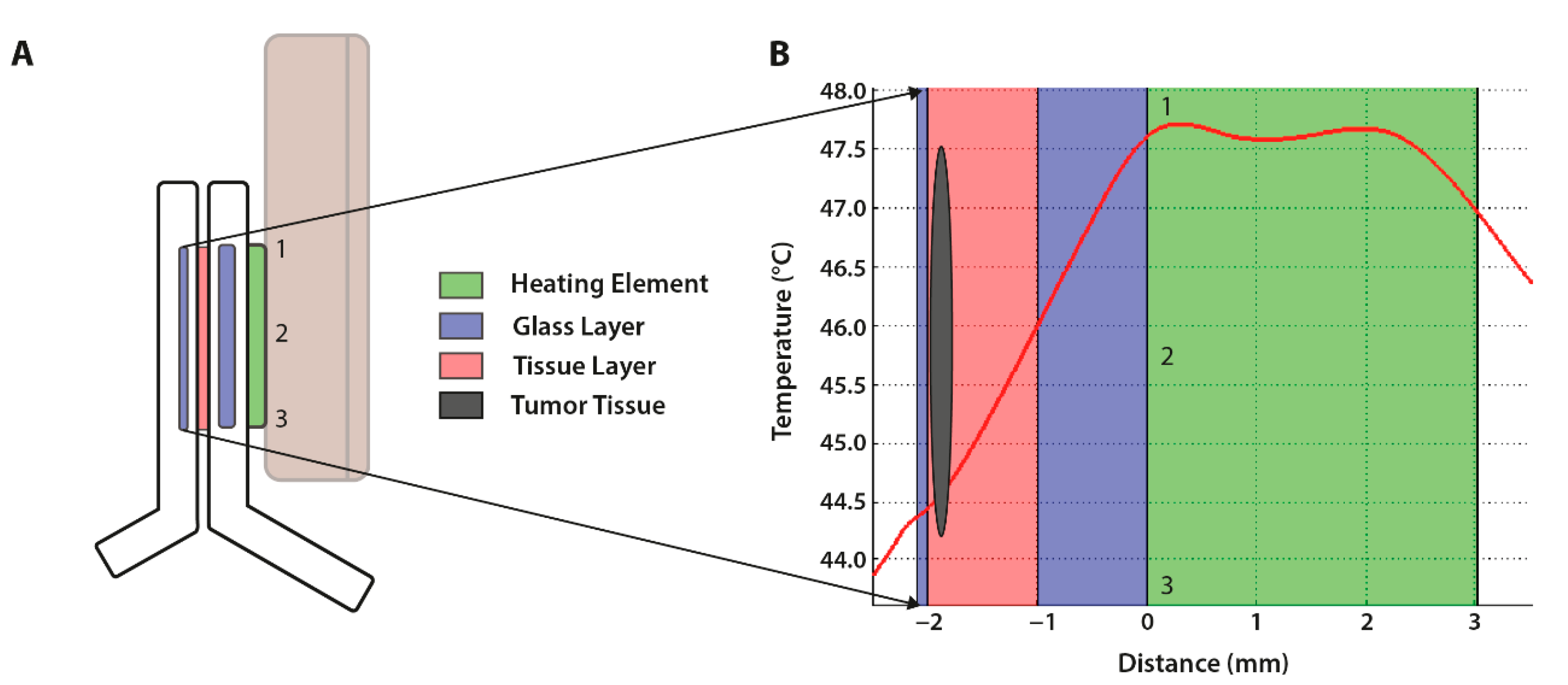 Cancers 13 05146 g006