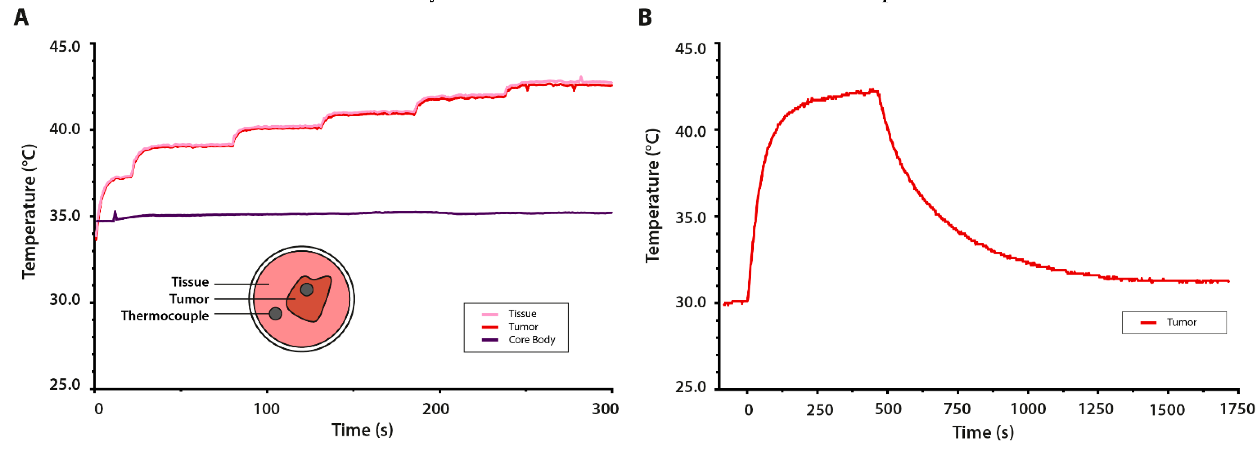 Cancers 13 05146 g007