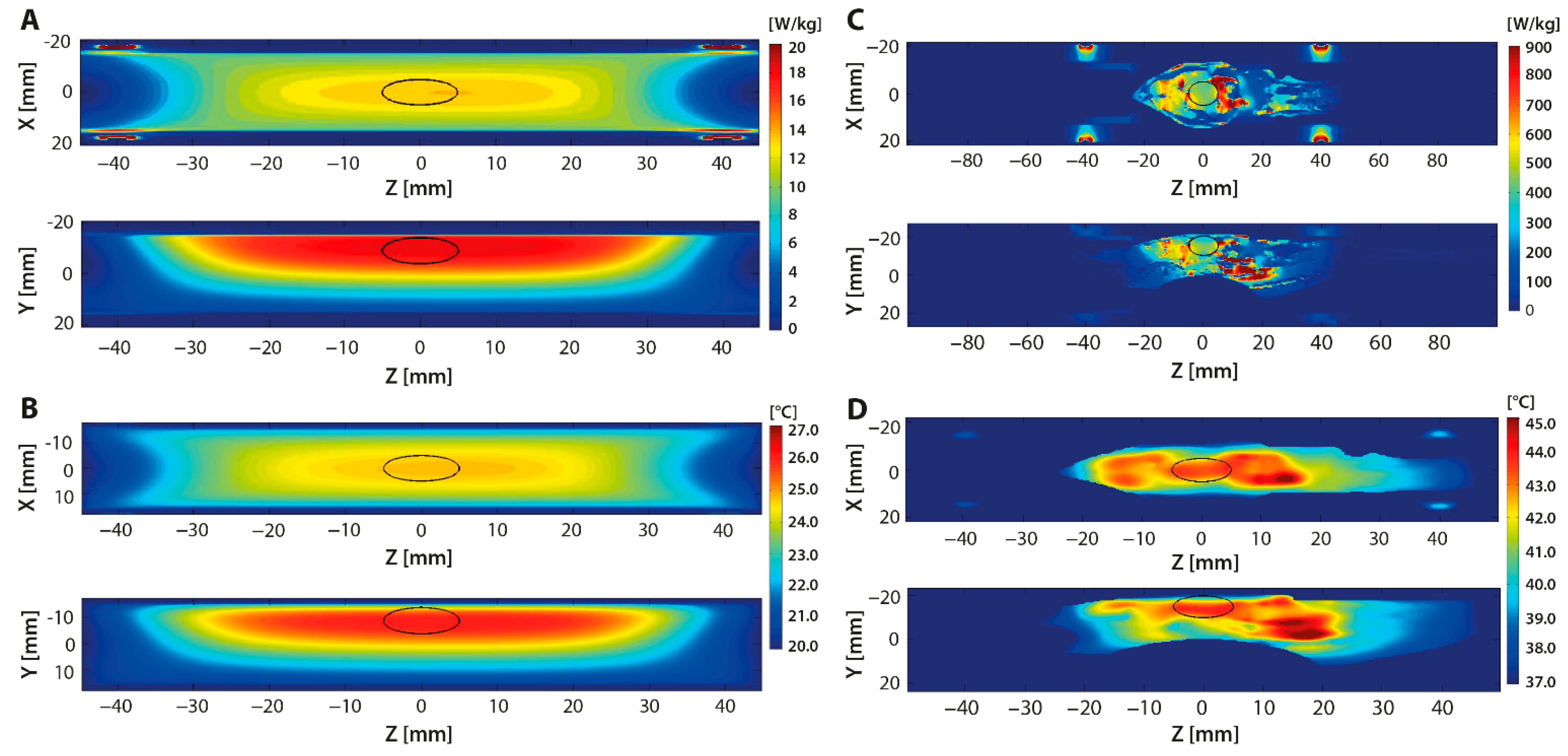 Cancers 13 05146 g010