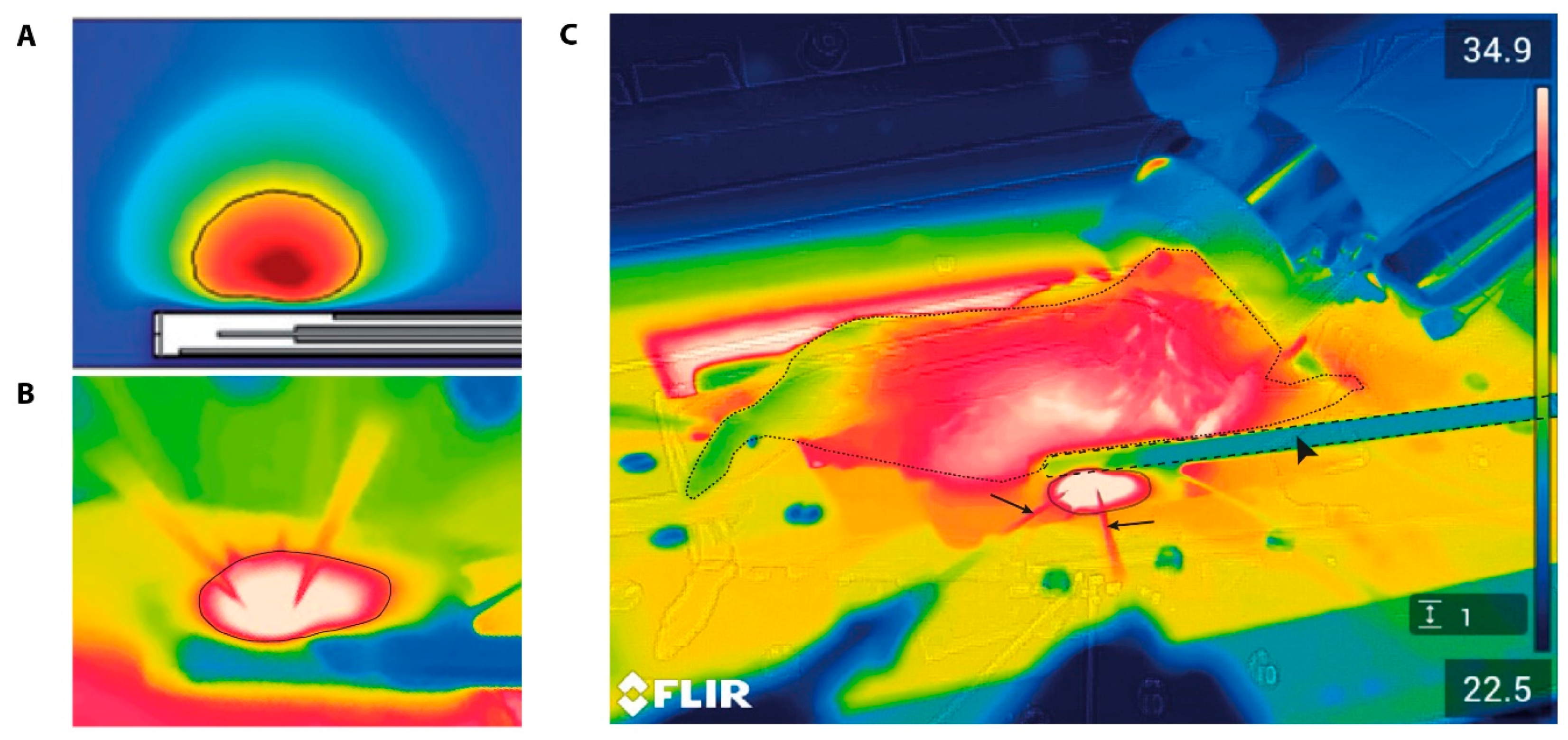Cancers 13 05146 g012