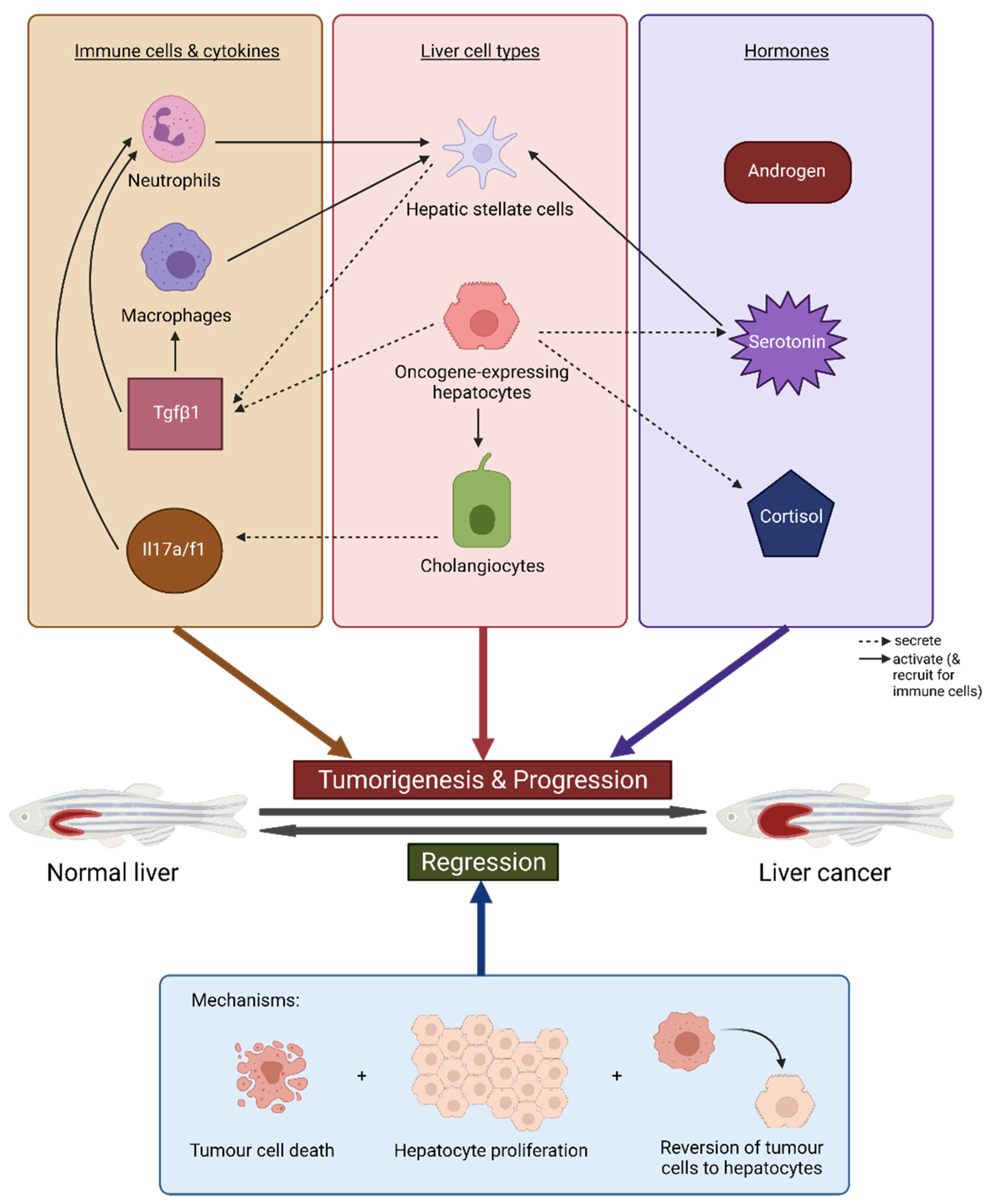 Cancers 13 05148 g002
