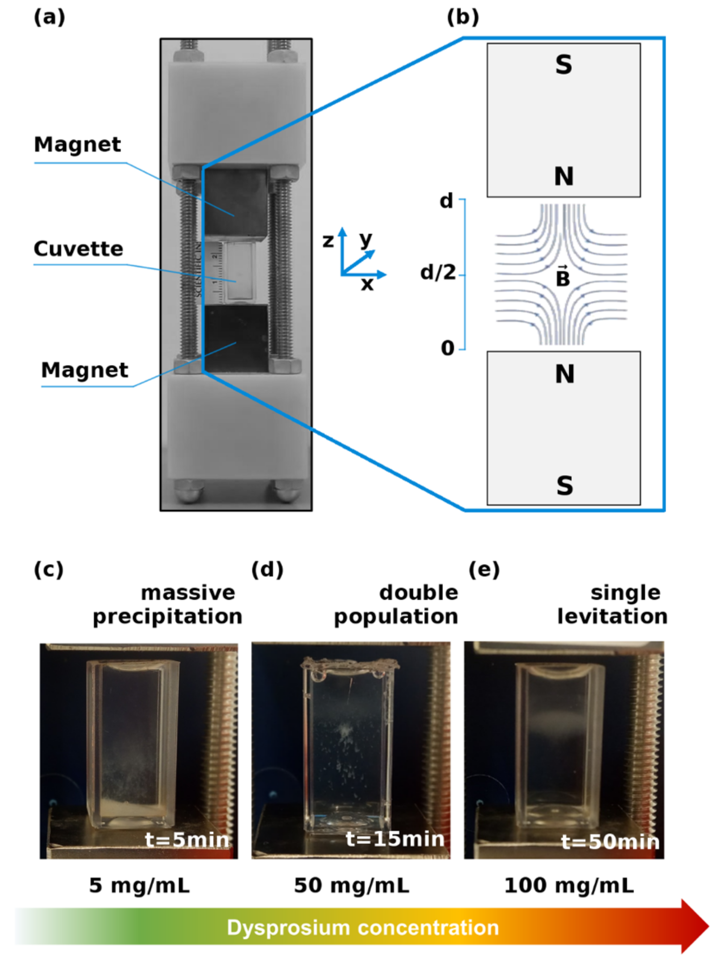 Cancers 13 05155 g001 550