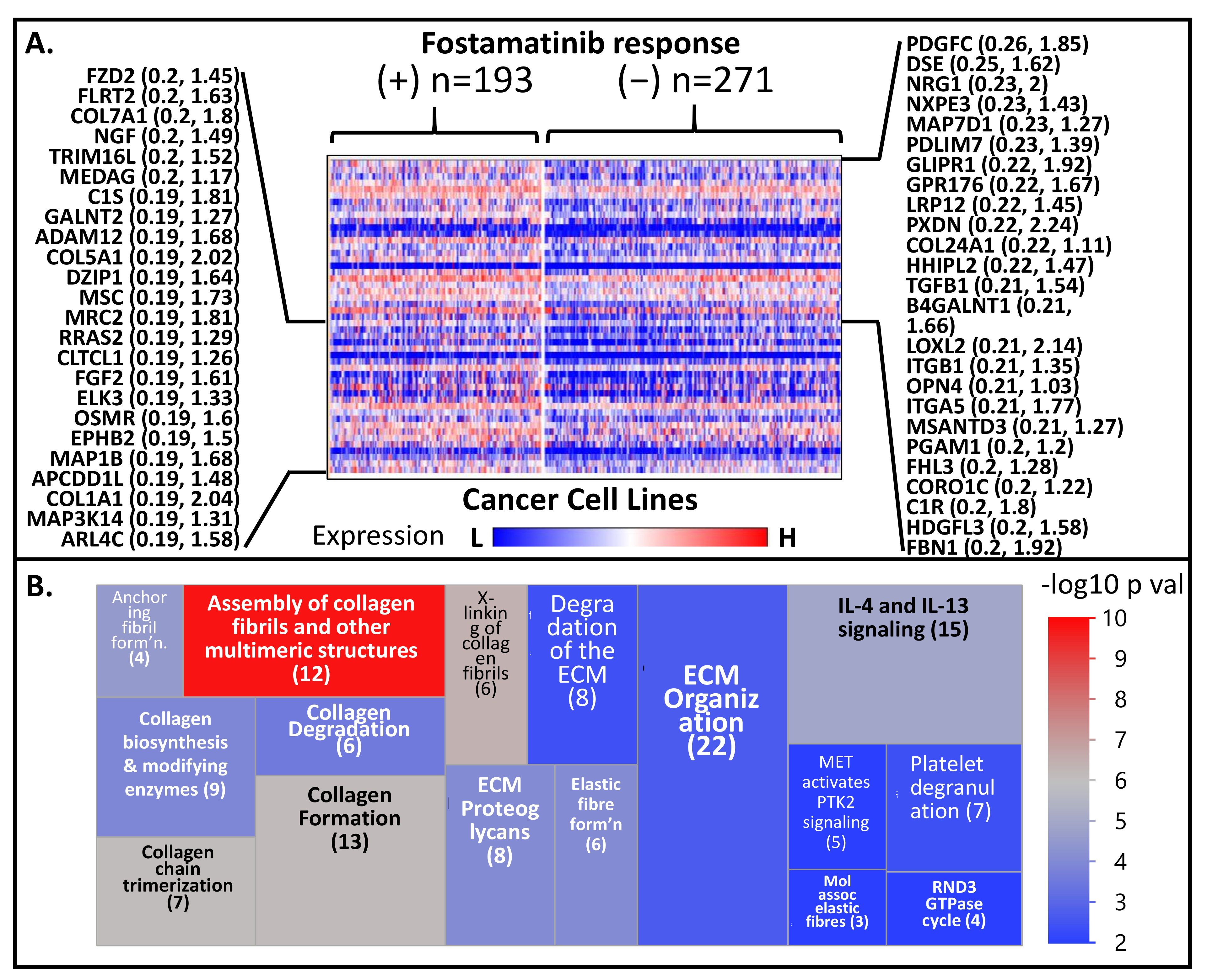 Cancers 13 05158 g005