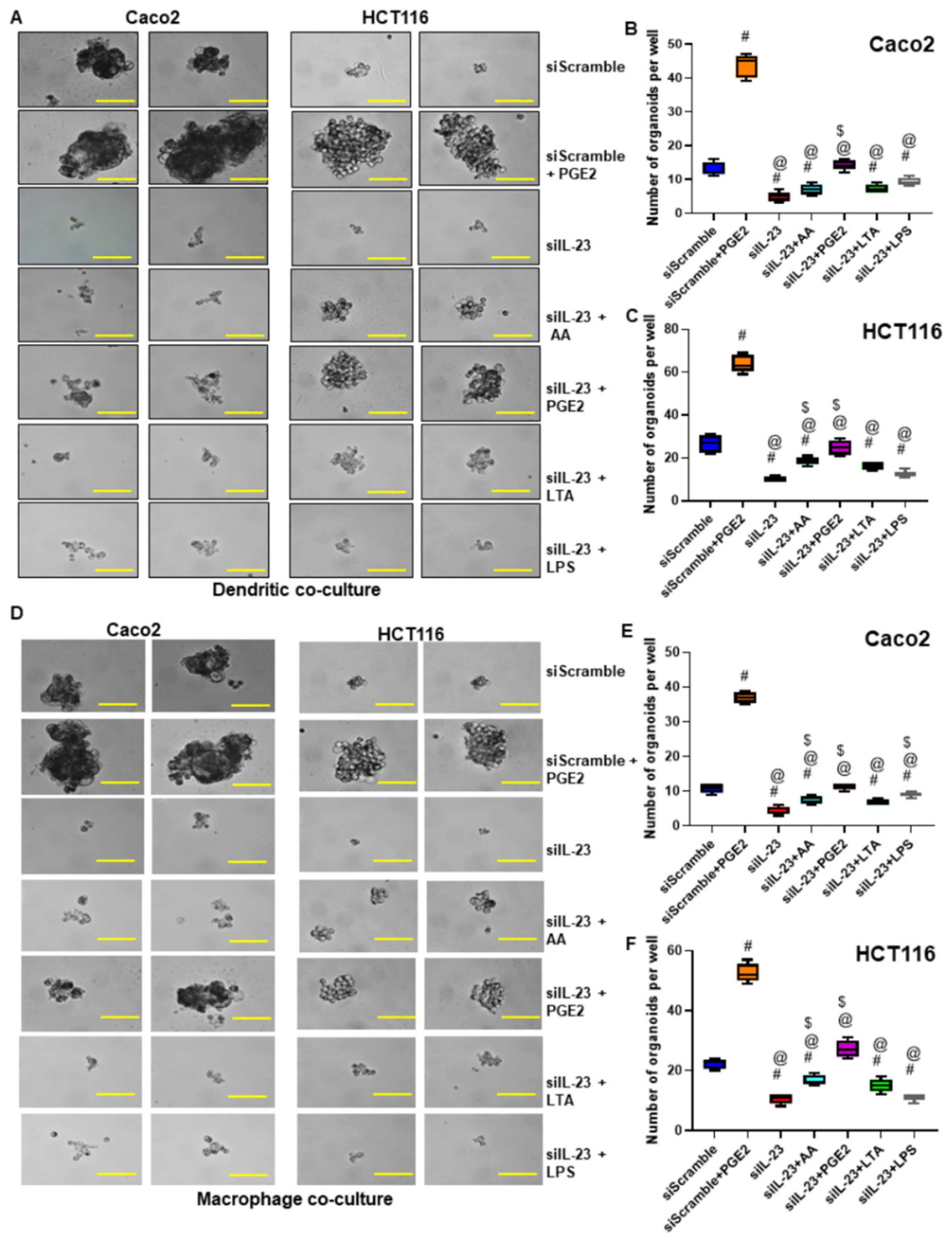 Cancers 13 05159 g006