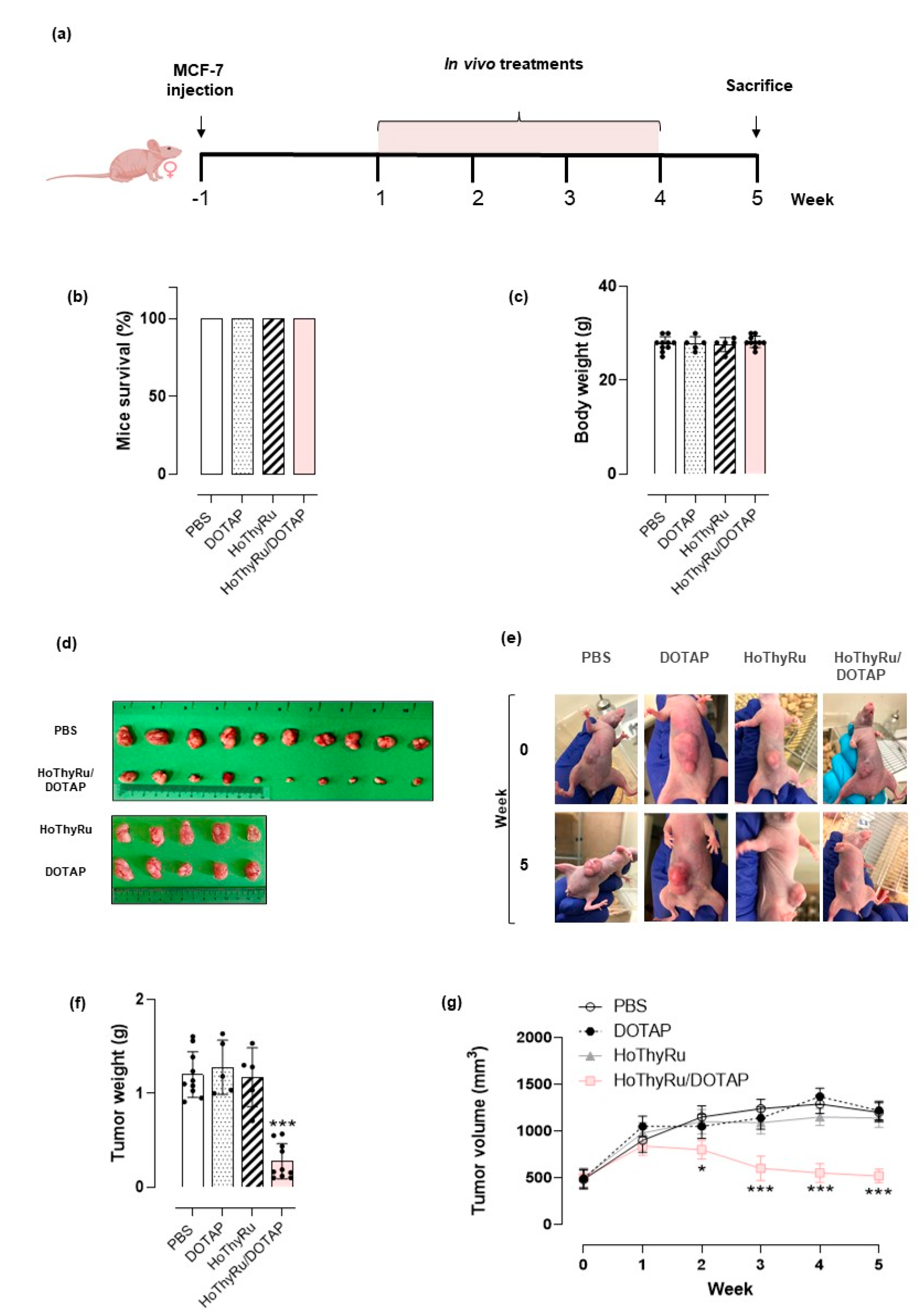 Cancers 13 05164 g002