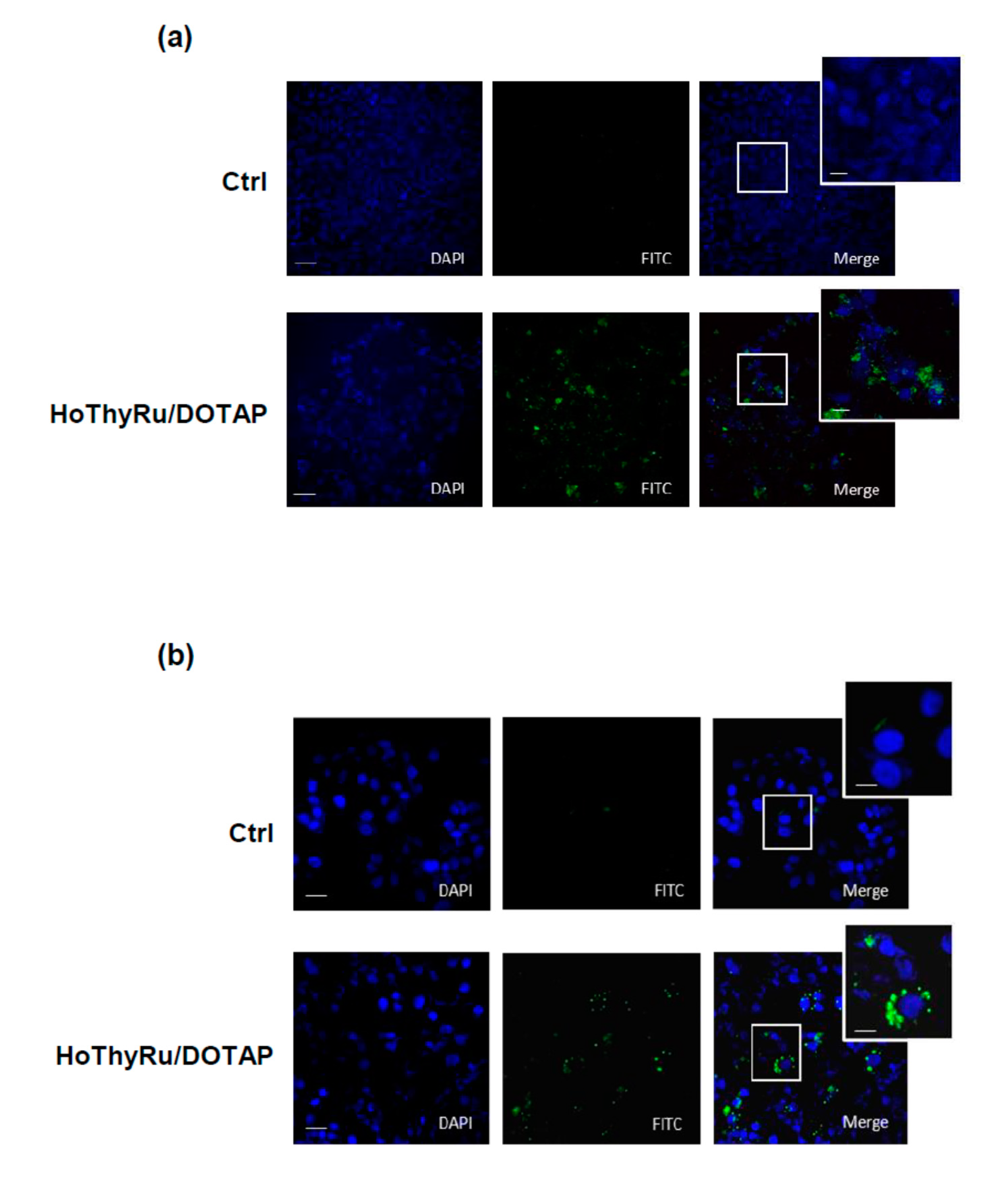 Cancers 13 05164 g0a3