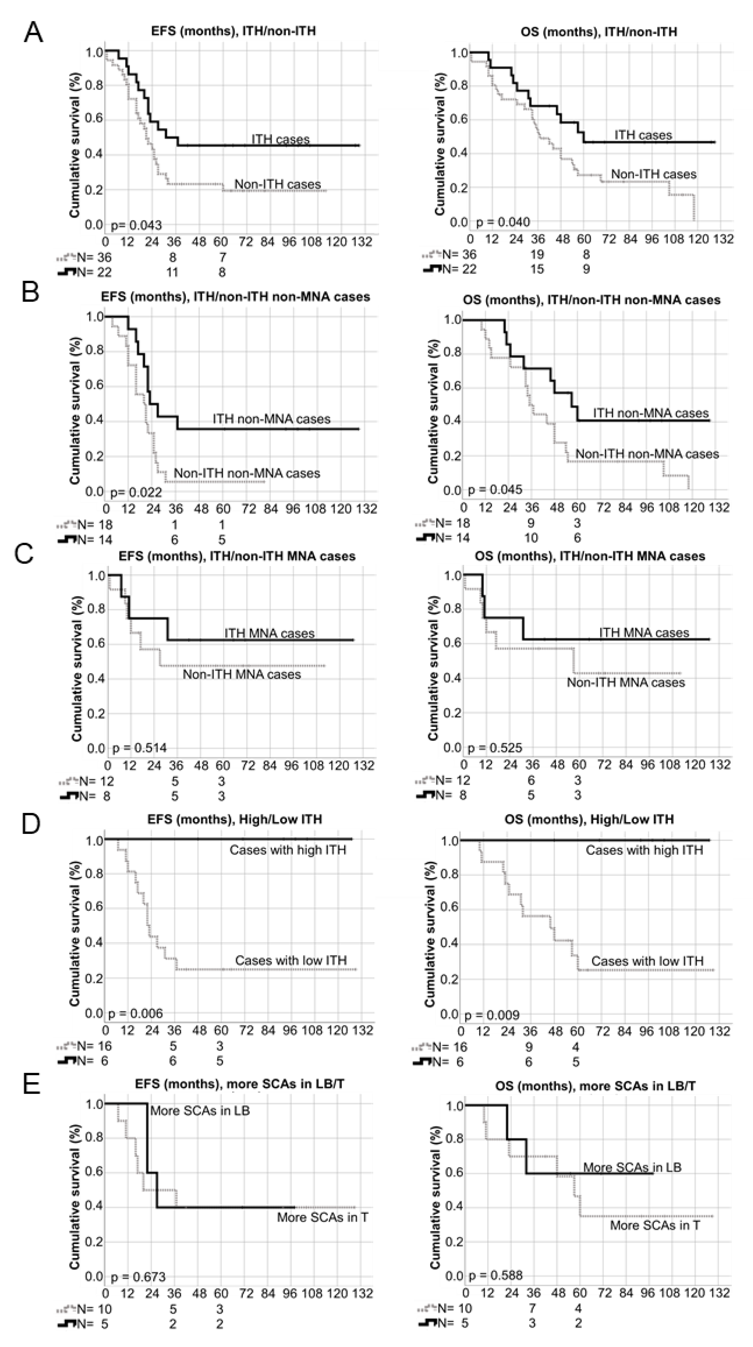 Cancers 13 05173 g005