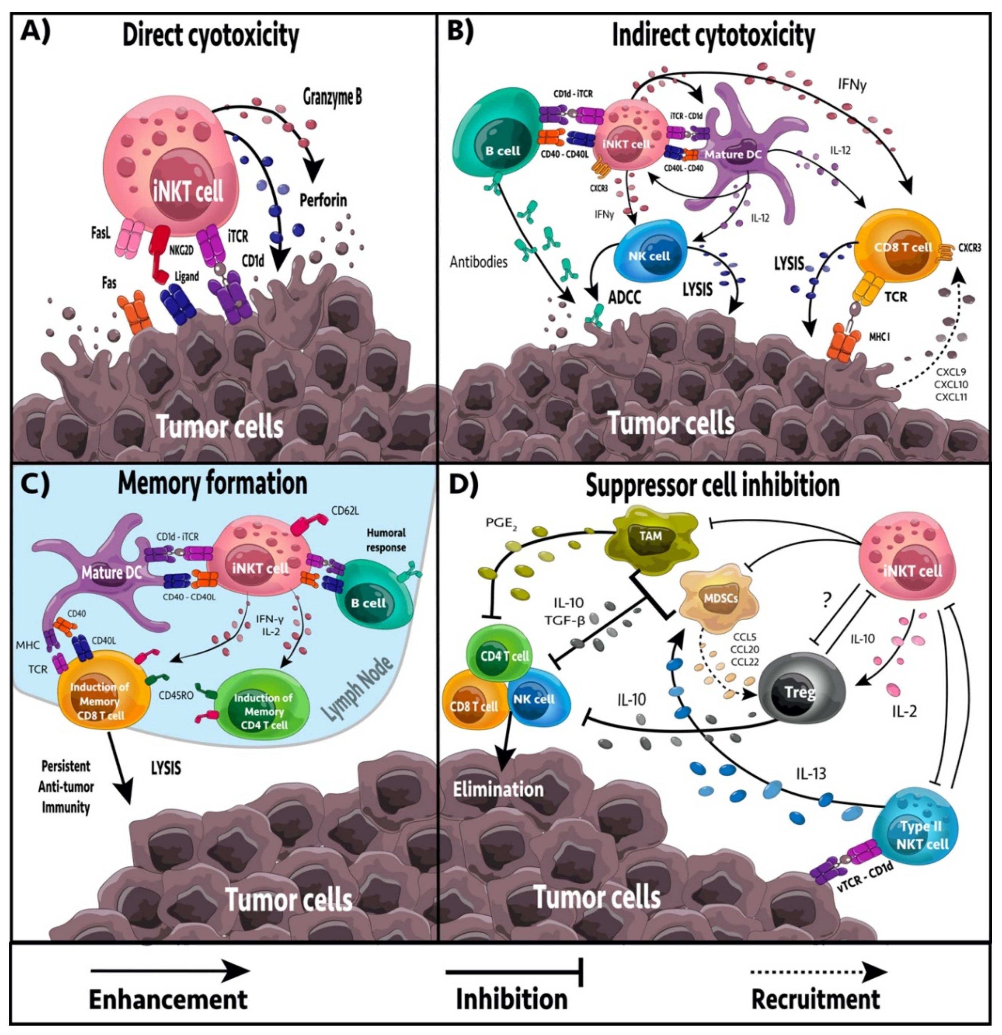 cancers free full text the current landscape of nkt cell immunotherapy and the hills ahead html