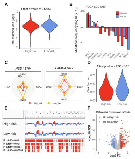 Prognostic Gene Signature for Squamous Cell Carcinoma with a Prognostic Gene Signature for Squamous Cell Carcinoma with a